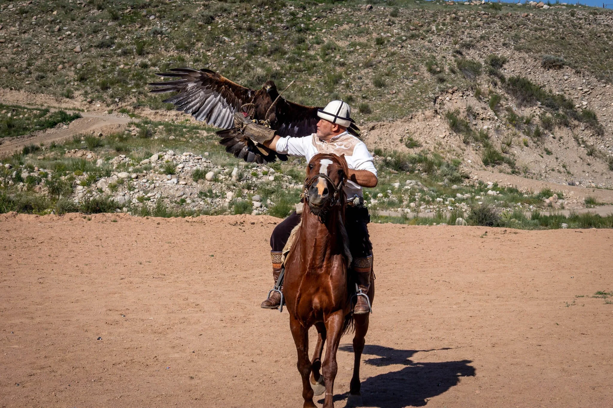 a man rides a horse with his arm outstreched in preparation to catch a golden eagle kyrgyzstan