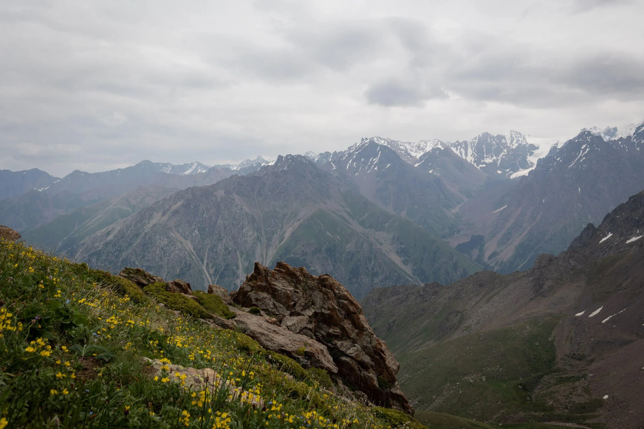 a wildflower meadow spills down the side of a mountain with snow capped peaks in the distance in shymbulak almaty kazakhstan