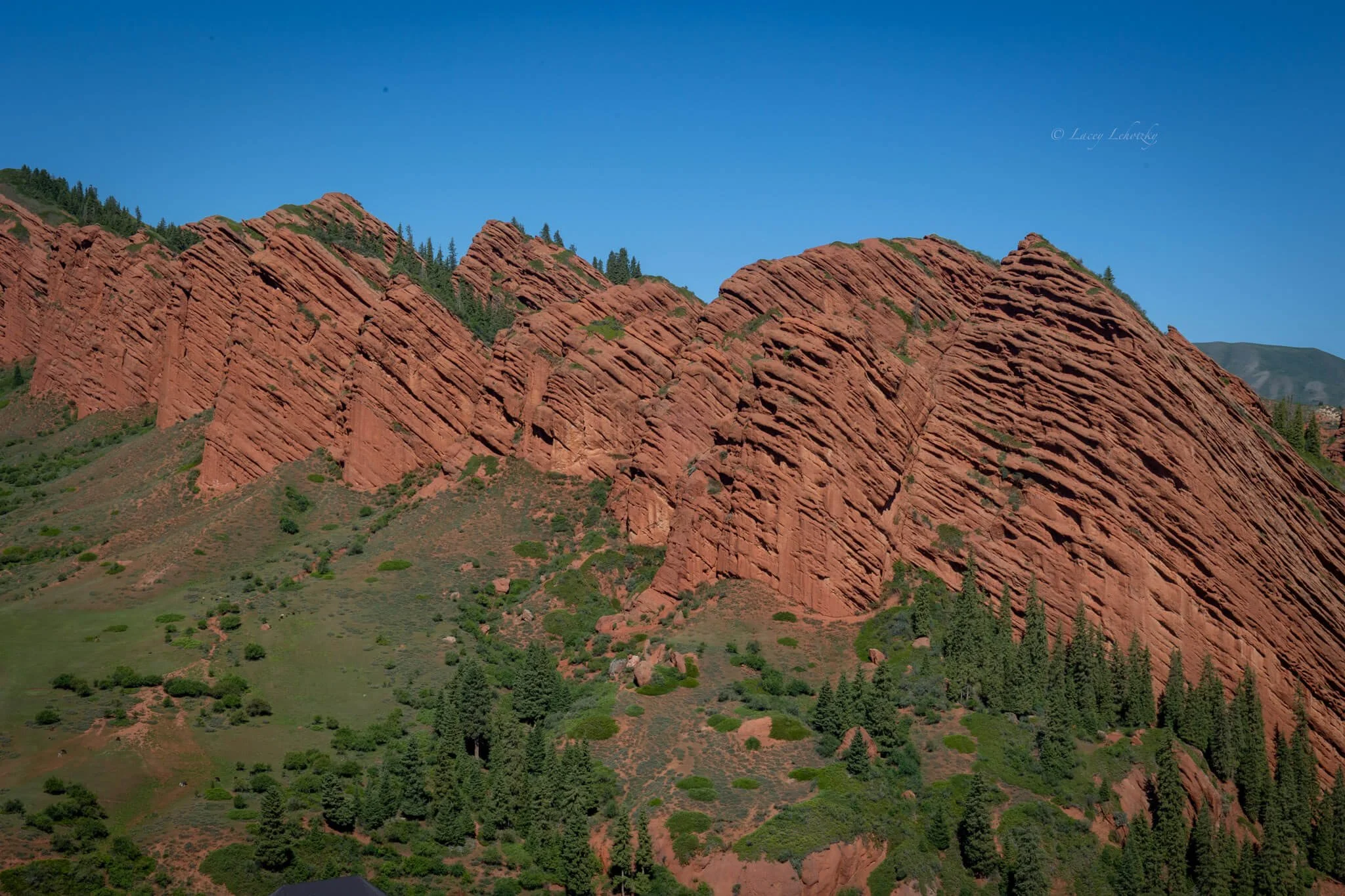 red rocks like a broken wave covered in green trees and brush seven bulls kyrgyzstan