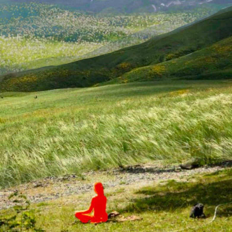 The Miseducation on Meditation