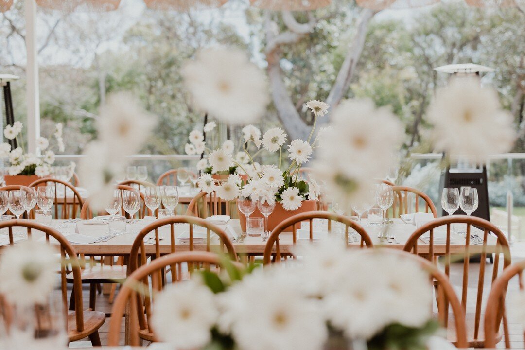 2022 Springtime Luncheon ✨

On October 6th (World Cerebral Palsy Day) our sister-venue, @meelupfarmhouse_, will be hosting their 2022 Springtime Luncheon at their glorious venue in Eagle Bay in support of the Saba Rose Button Foundation. 

The Saba R