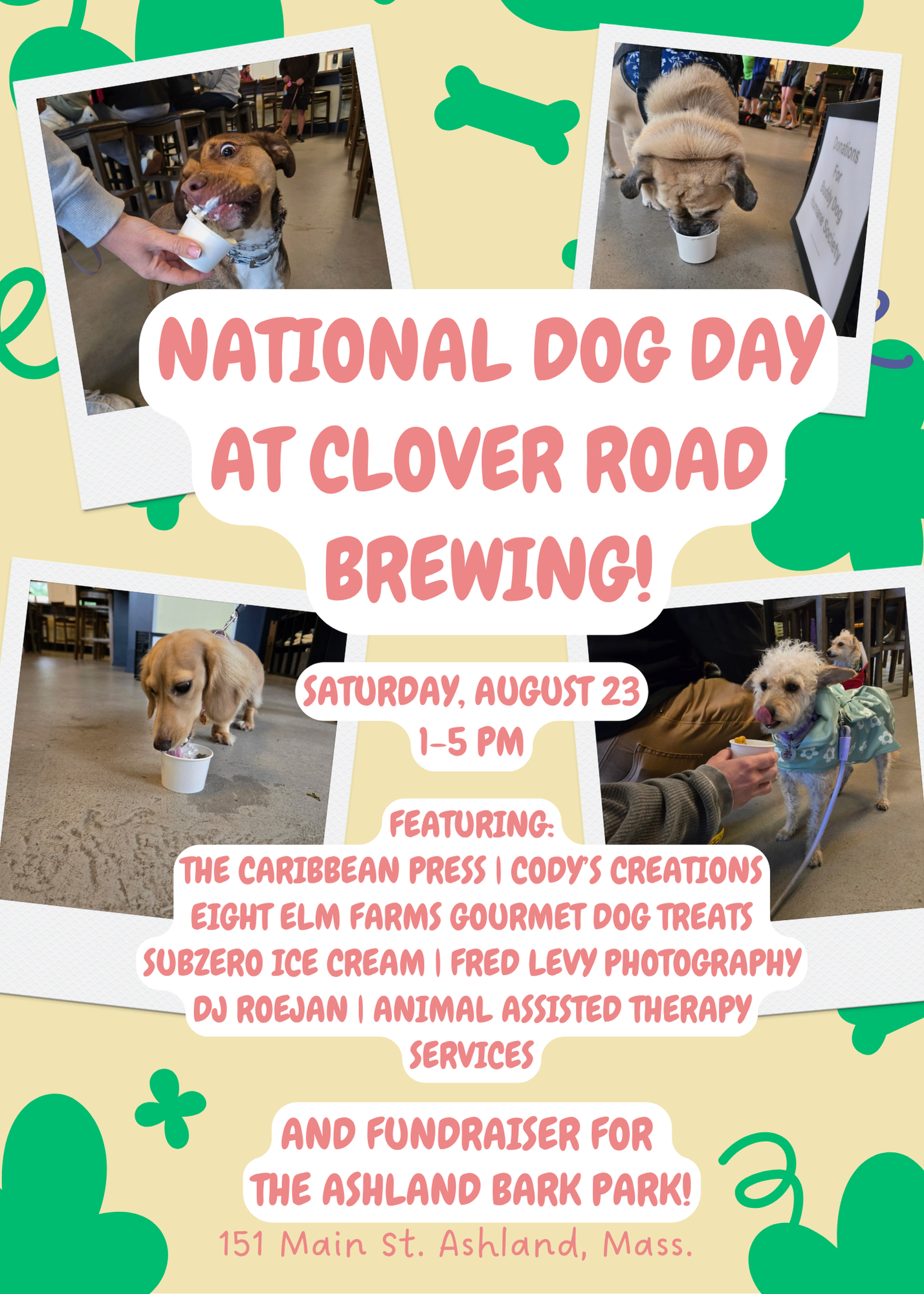 National Dog Day Party