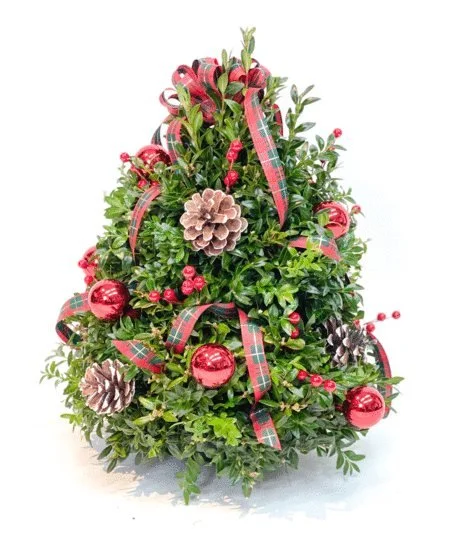 Boxwood Tree Workshop with Maidenhair Floral Design