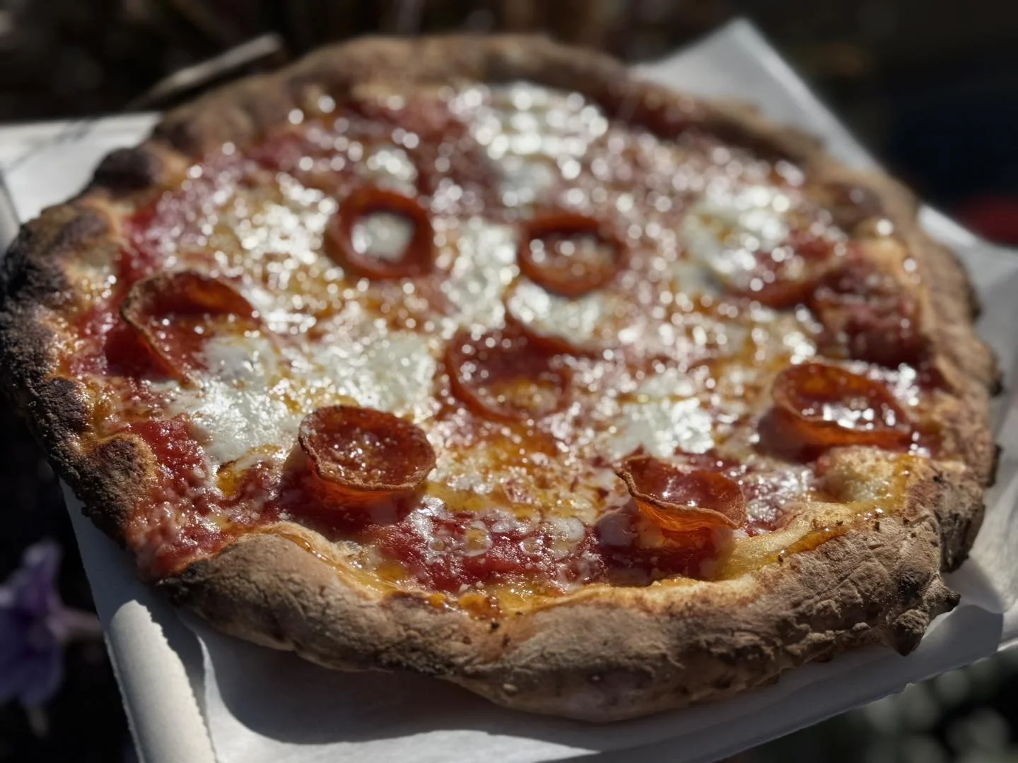 Wheat + Water Crafted Doughz