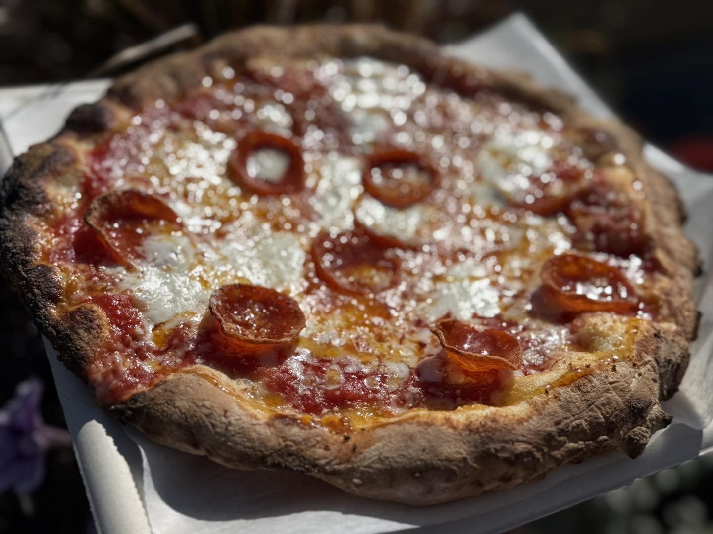 Wheat + Water Crafted Doughz