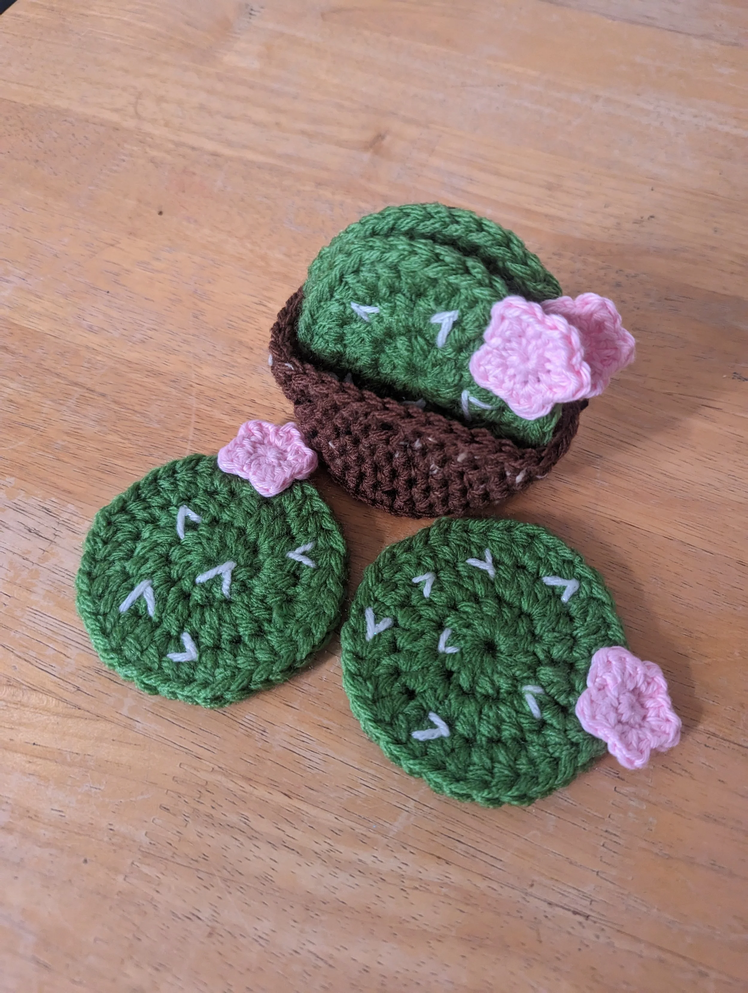 PATTERN Cactus Coaster Set