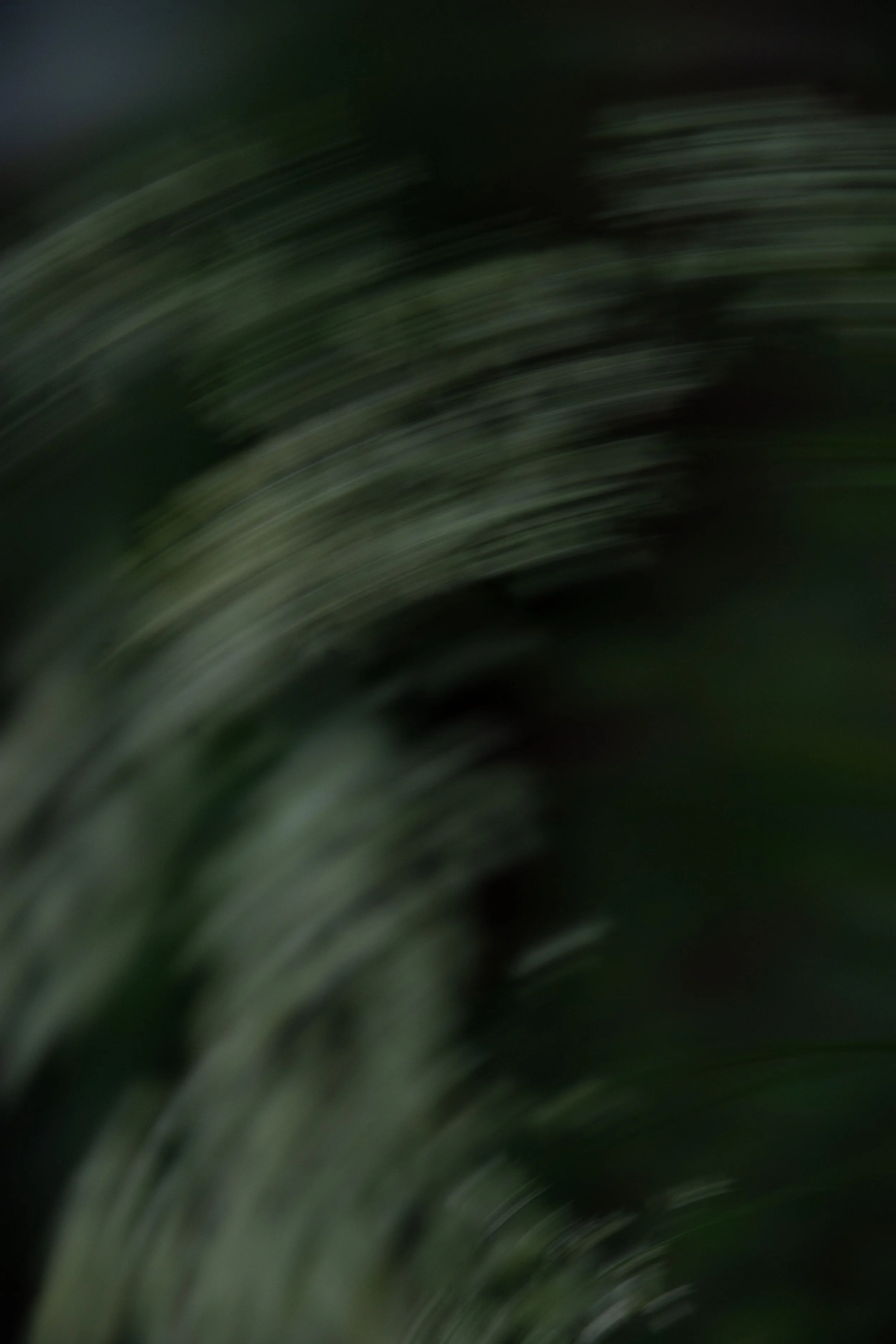 Blurred close-up of green plant leaves in motion.