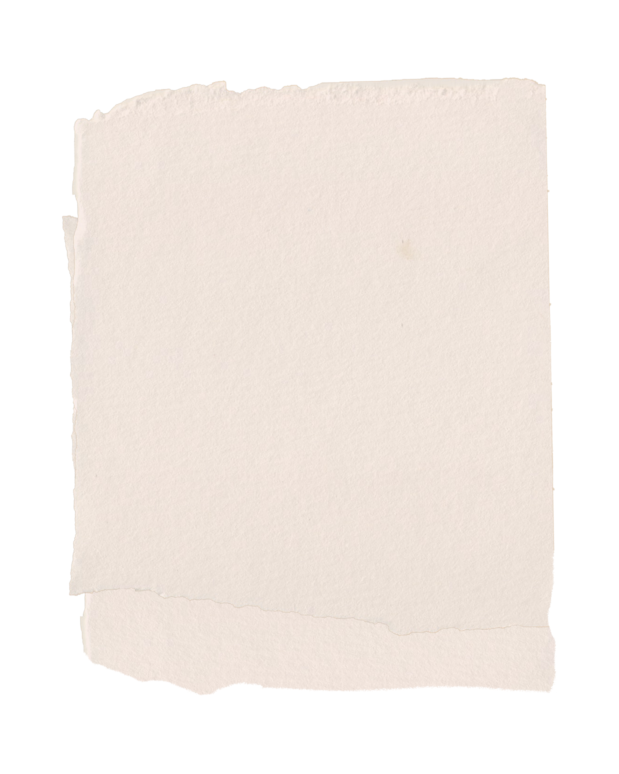 A sheet of torn, cream-colored paper with rough, irregular edges.