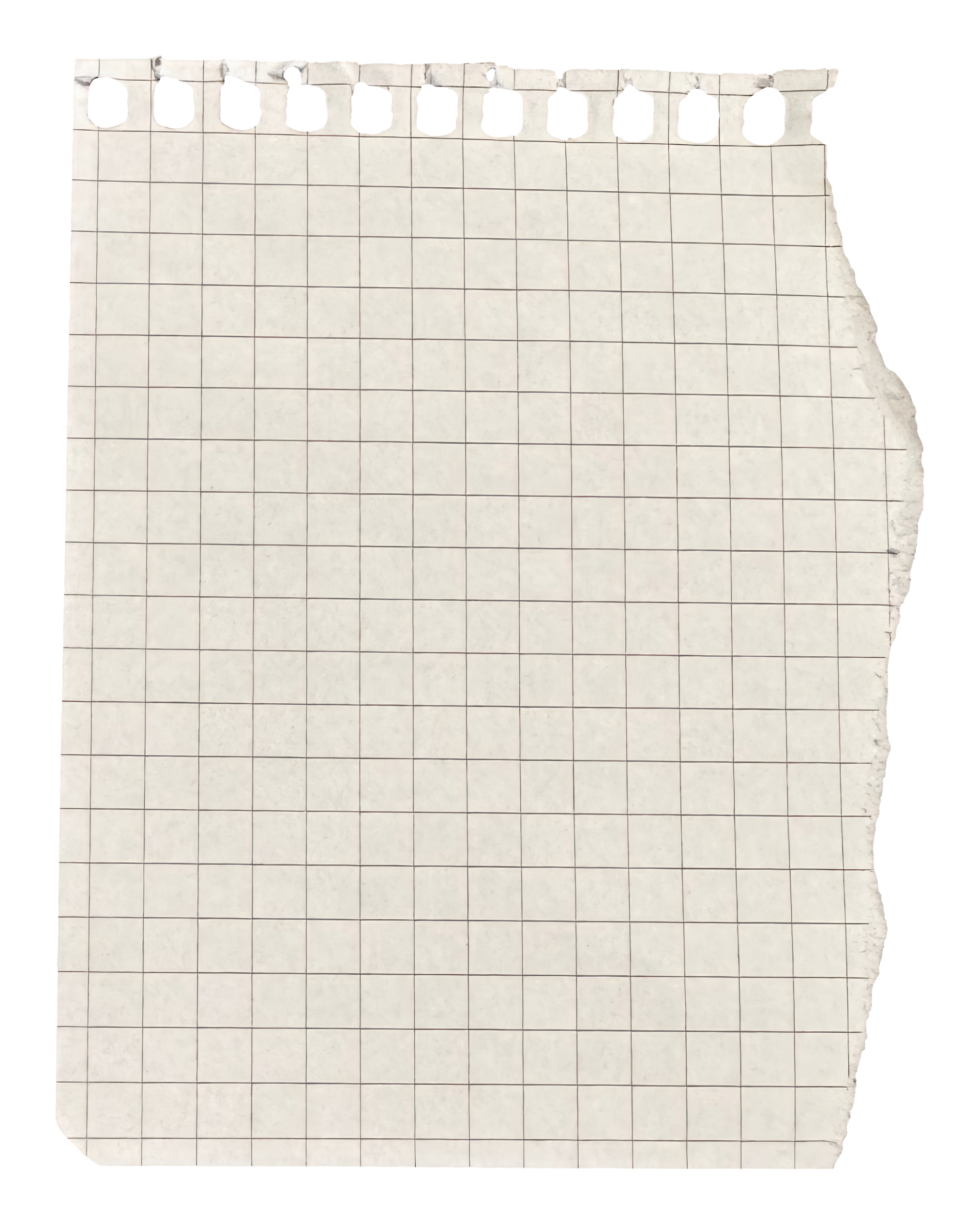 A torn piece of graph paper with blank squares and holes at the top, torn edges on the right and bottom, no writing or drawings.