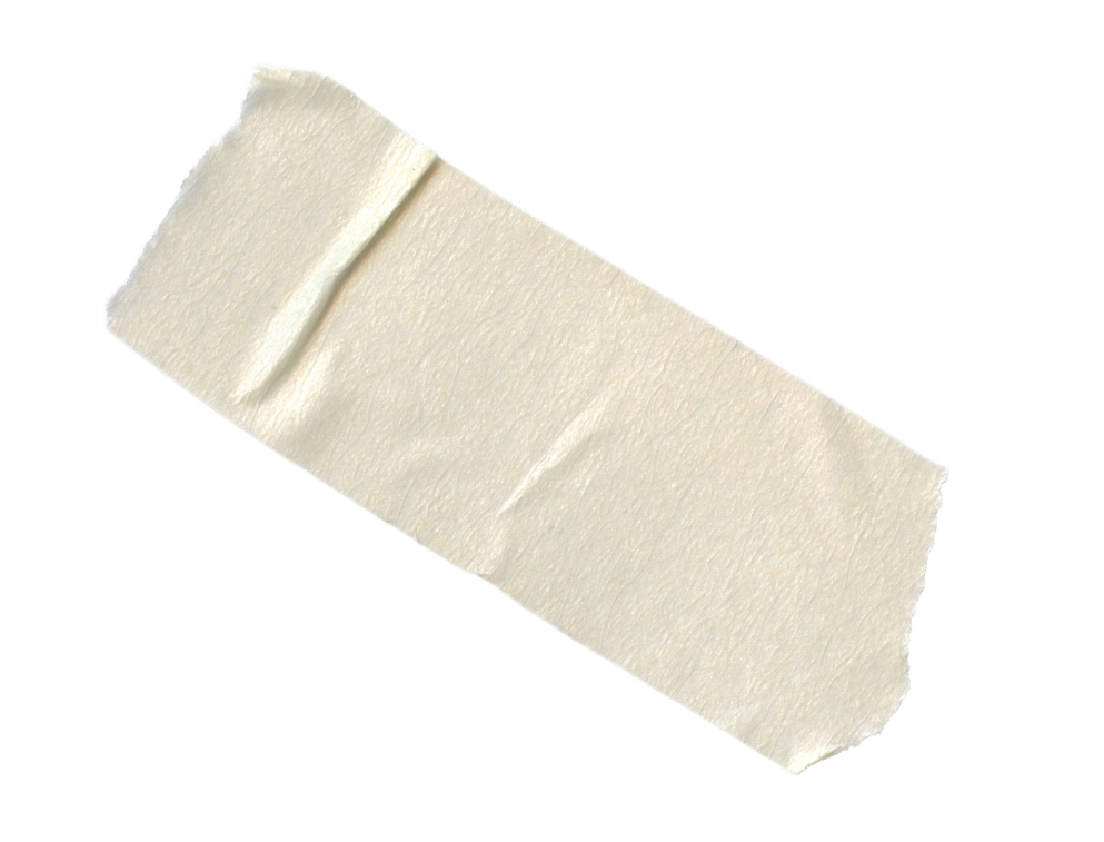 A peeled, cut piece of celery with a textured surface and three visible indentations.