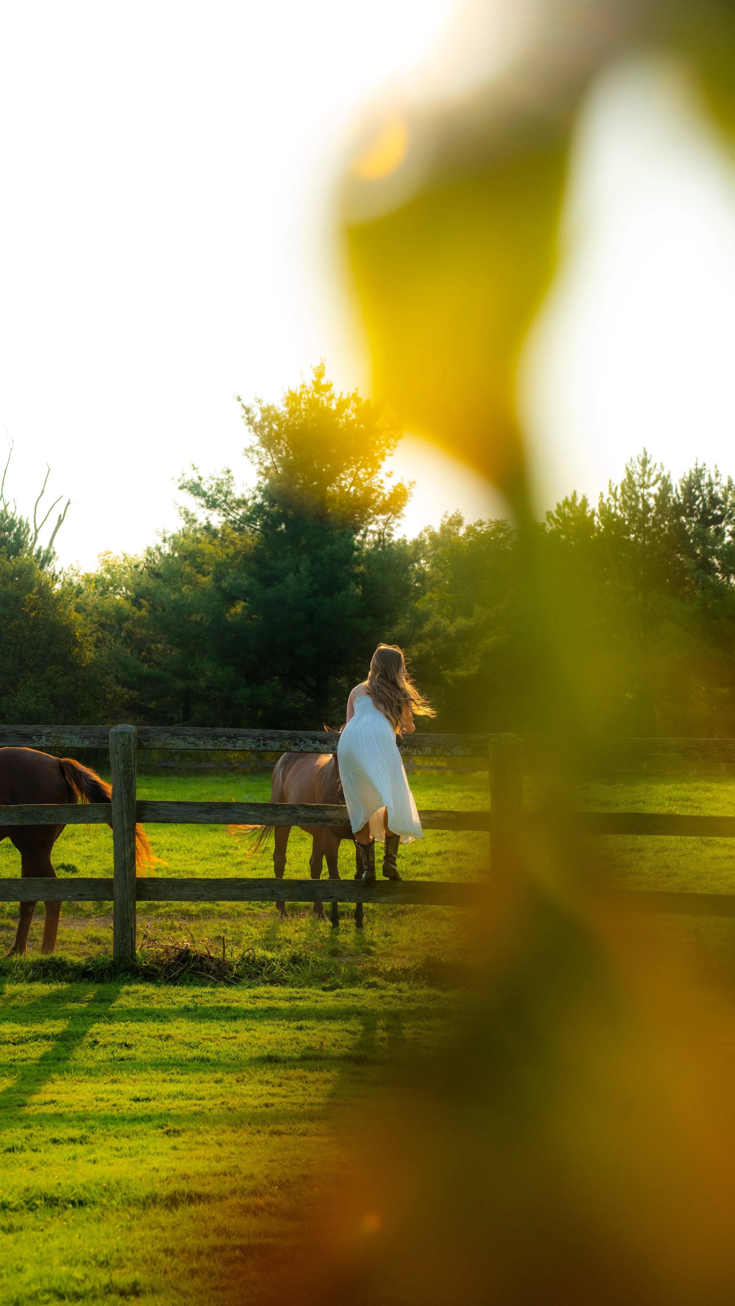 A woman in a white dress and tall black boots stands on a wooden fence, looking at horses in a green field during sunset, with blurred yellow leaves in the foreground.