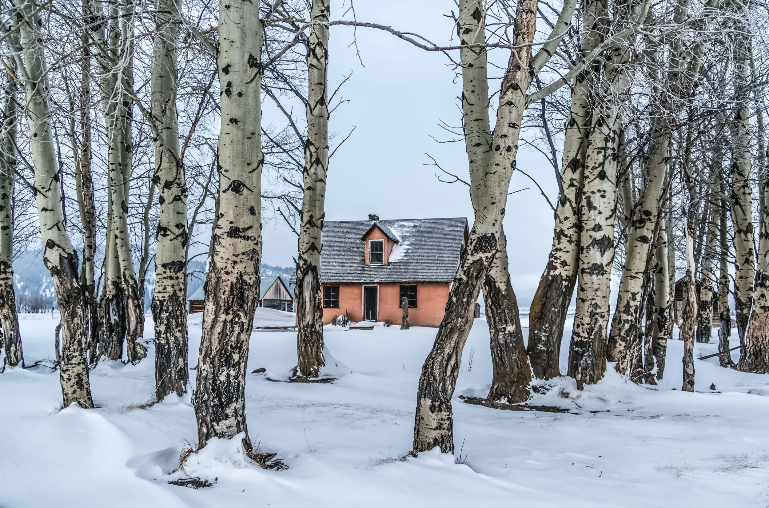 Dust and Distance: The Resonance of Time, limited edition fine art photograph by Jason Sponseller, featuring a pink house in a snow-covered landscape framed by aspen trees, with winter stillness, rural isolation, and quiet memory