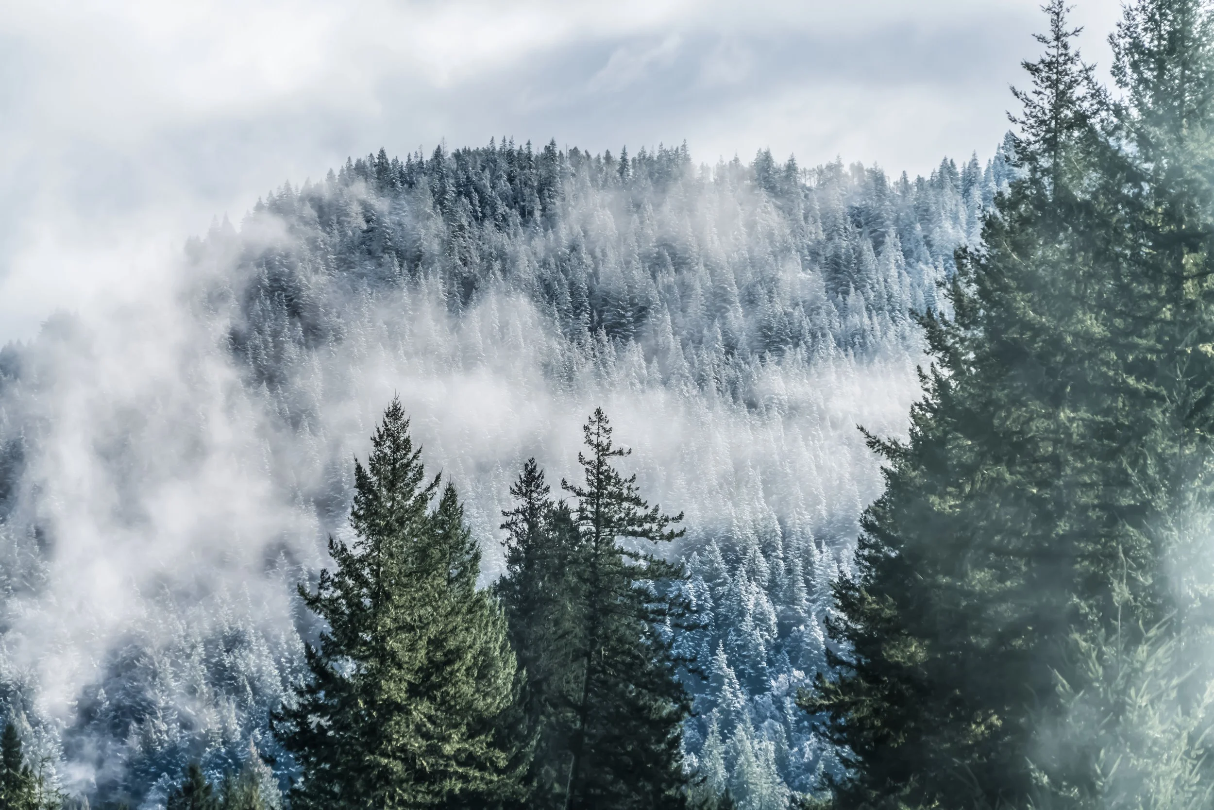 Dust and Distance: The Resonance of Time, limited edition fine art photograph by Jason Sponseller, featuring snow-covered forest mountains with drifting fog, evergreen trees, and a cold atmospheric stillness