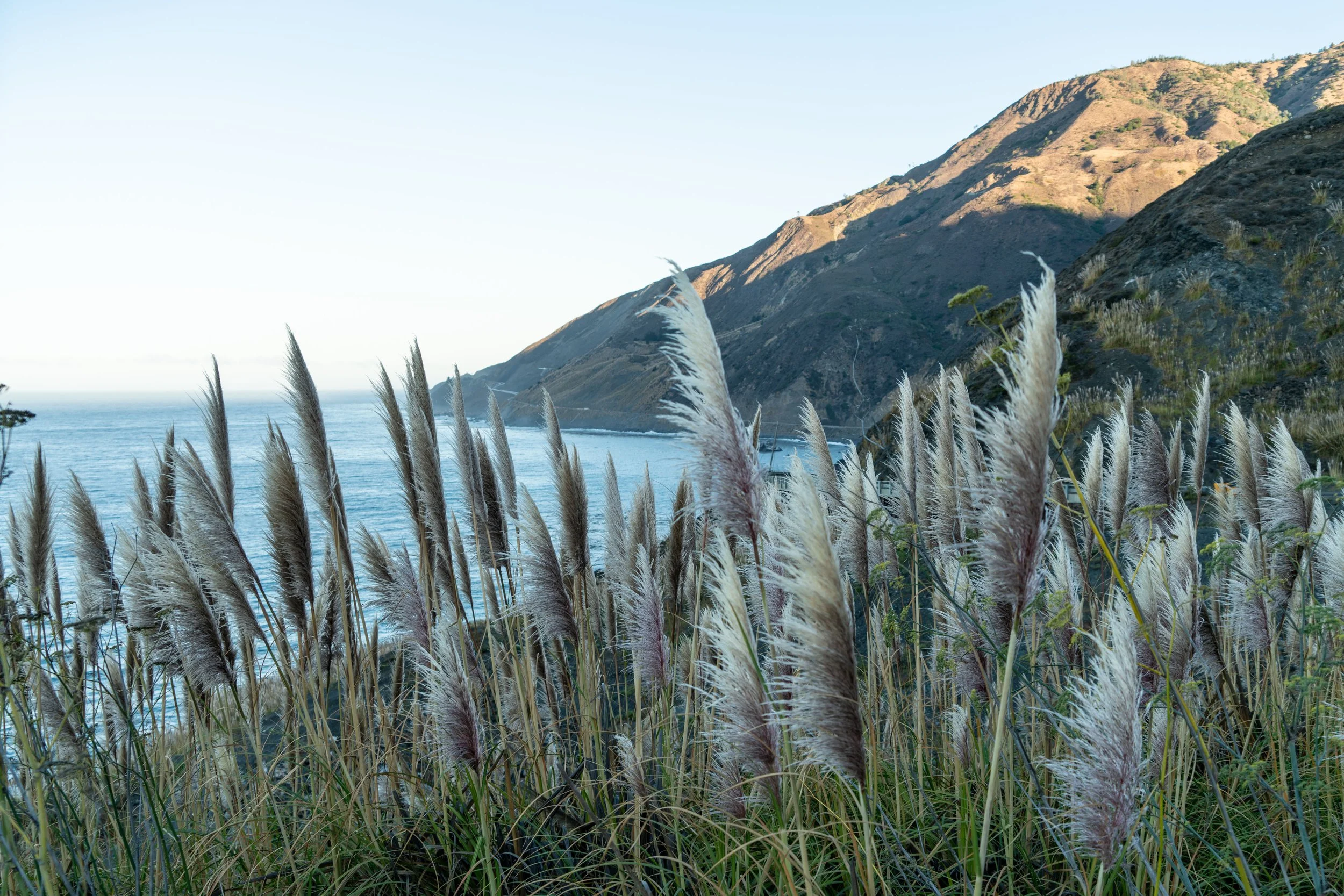 Dust and Distance: The Resonance of Time, limited edition fine art photograph by Jason Sponseller, featuring the Pacific Coast Highway coastline with tall coastal grasses, ocean water, rugged cliffs, and quiet California coastal atmosphere