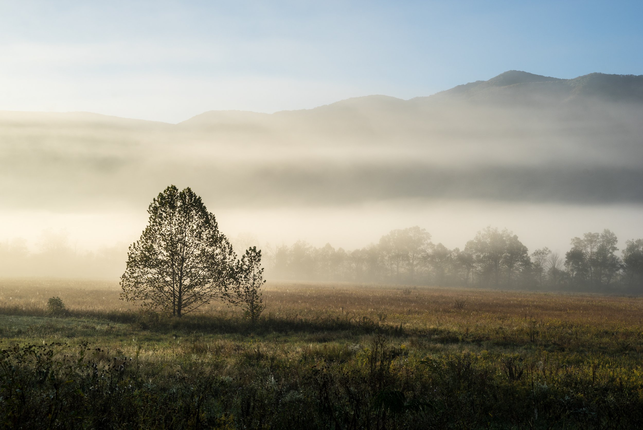 Dust and Distance: The Resonance of Time, limited edition fine art photograph by Jason Sponseller, featuring a mist-covered field in the Smoky Mountains with soft morning light, distant ridges, trees, and quiet atmospheric stillness