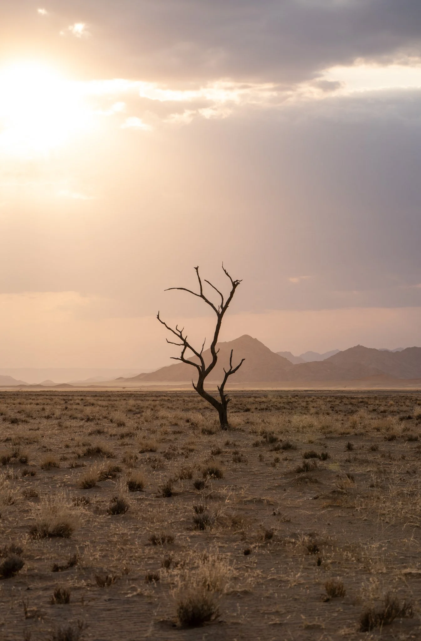 Fine art vertical photograph of a lone dead tree in Sossusvlei, Namibia, illuminated by early morning sunlight with distant mountains in the background, capturing a stark and minimalist desert landscape