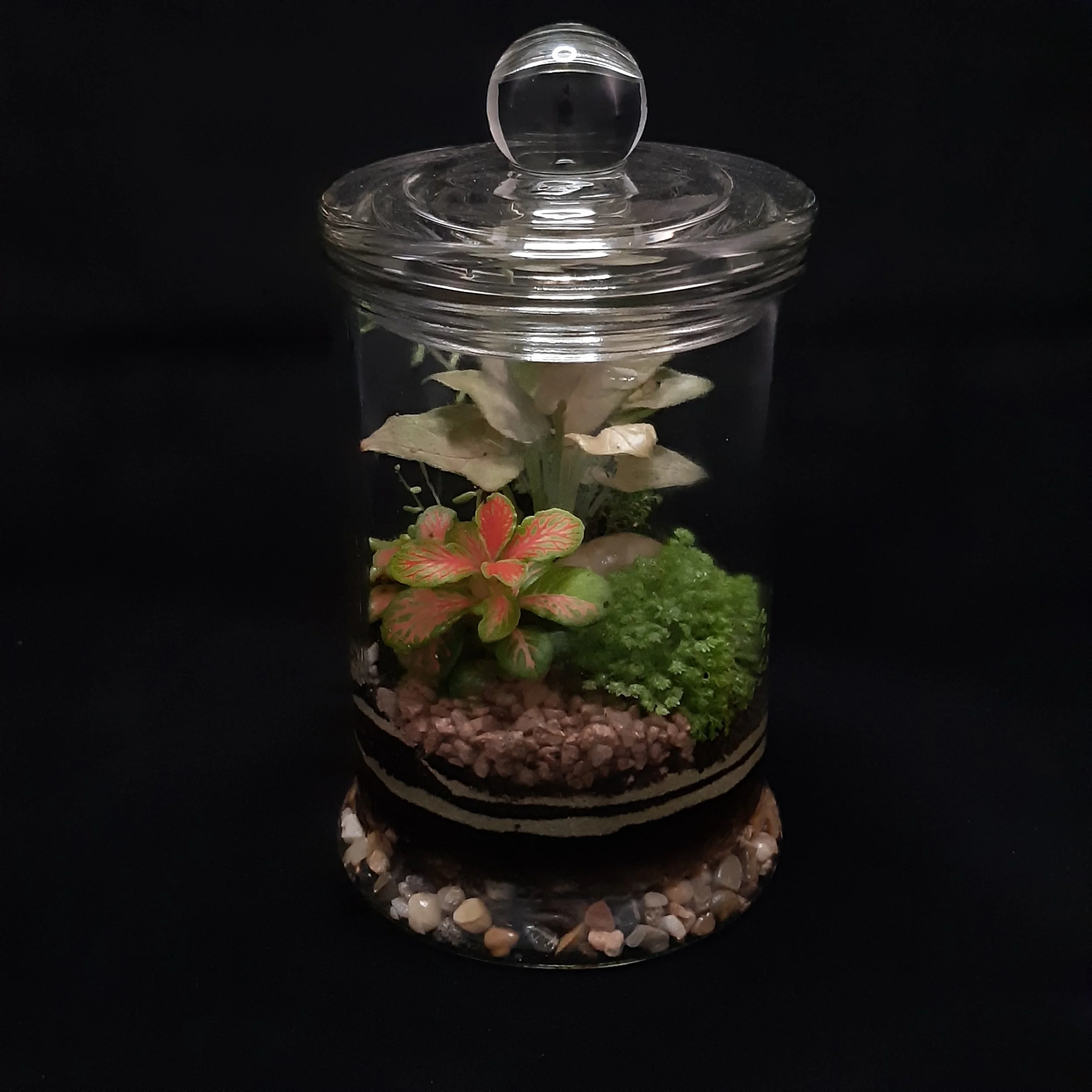 Explore the Terrariums — Artisan Gardens Melbourne
