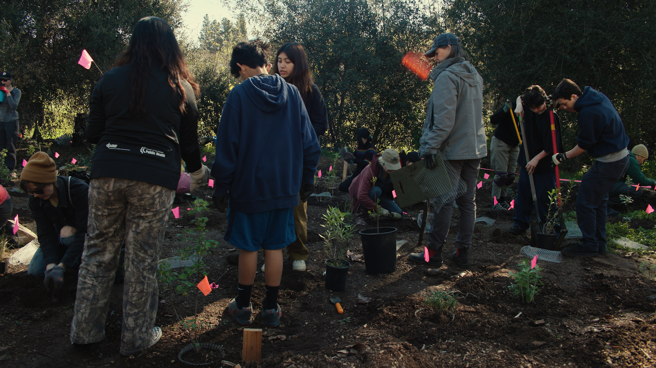 SouthPasadenaMicroForest__PlantingDay_21Feb2026_Photo-02.png