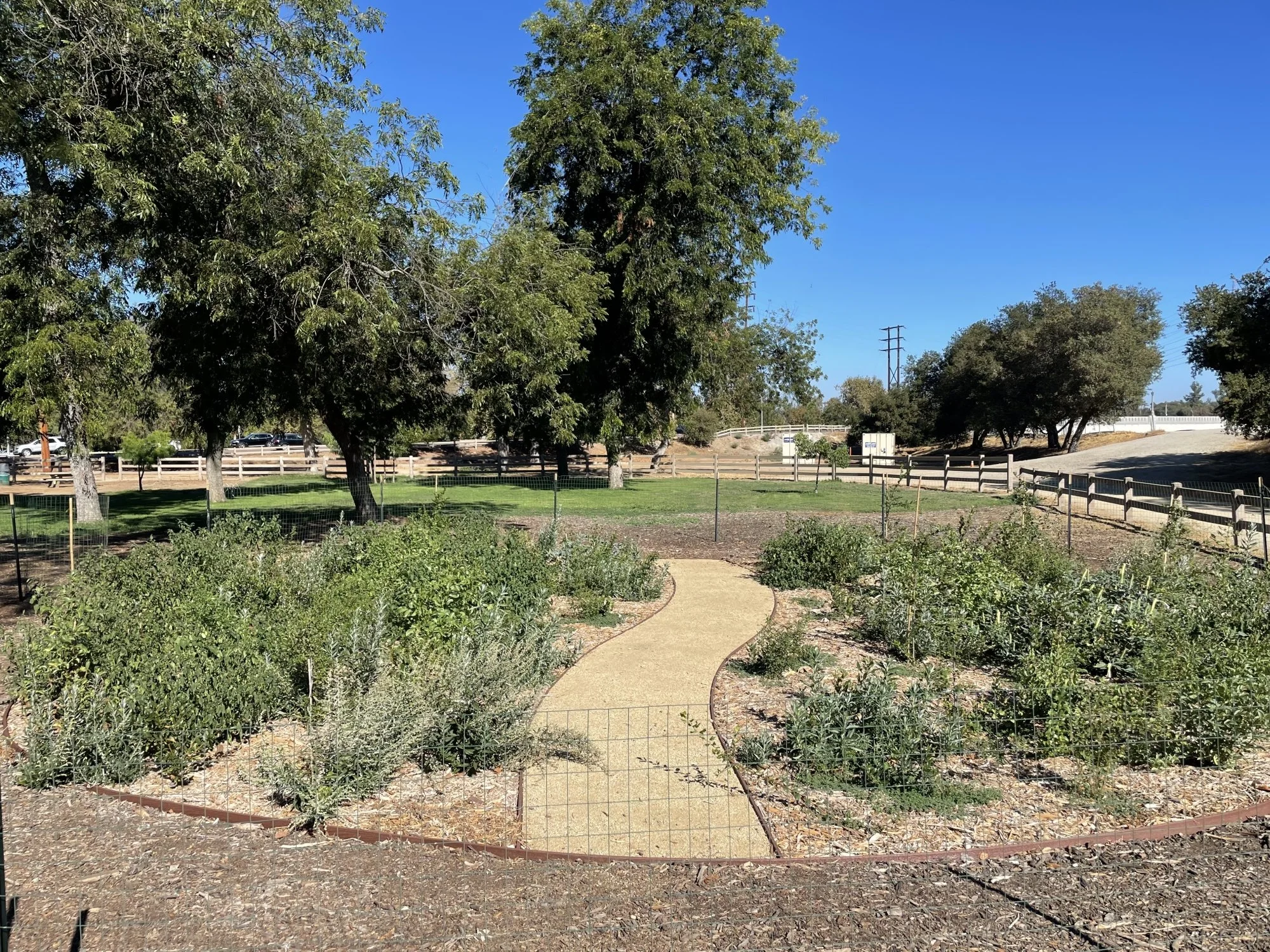 Photo credit: Seed to Landscape