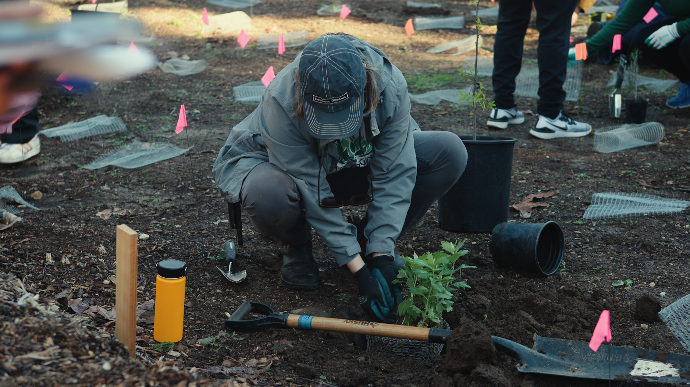 SouthPasadenaMicroForest__PlantingDay_21Feb2026_Photo-10.png