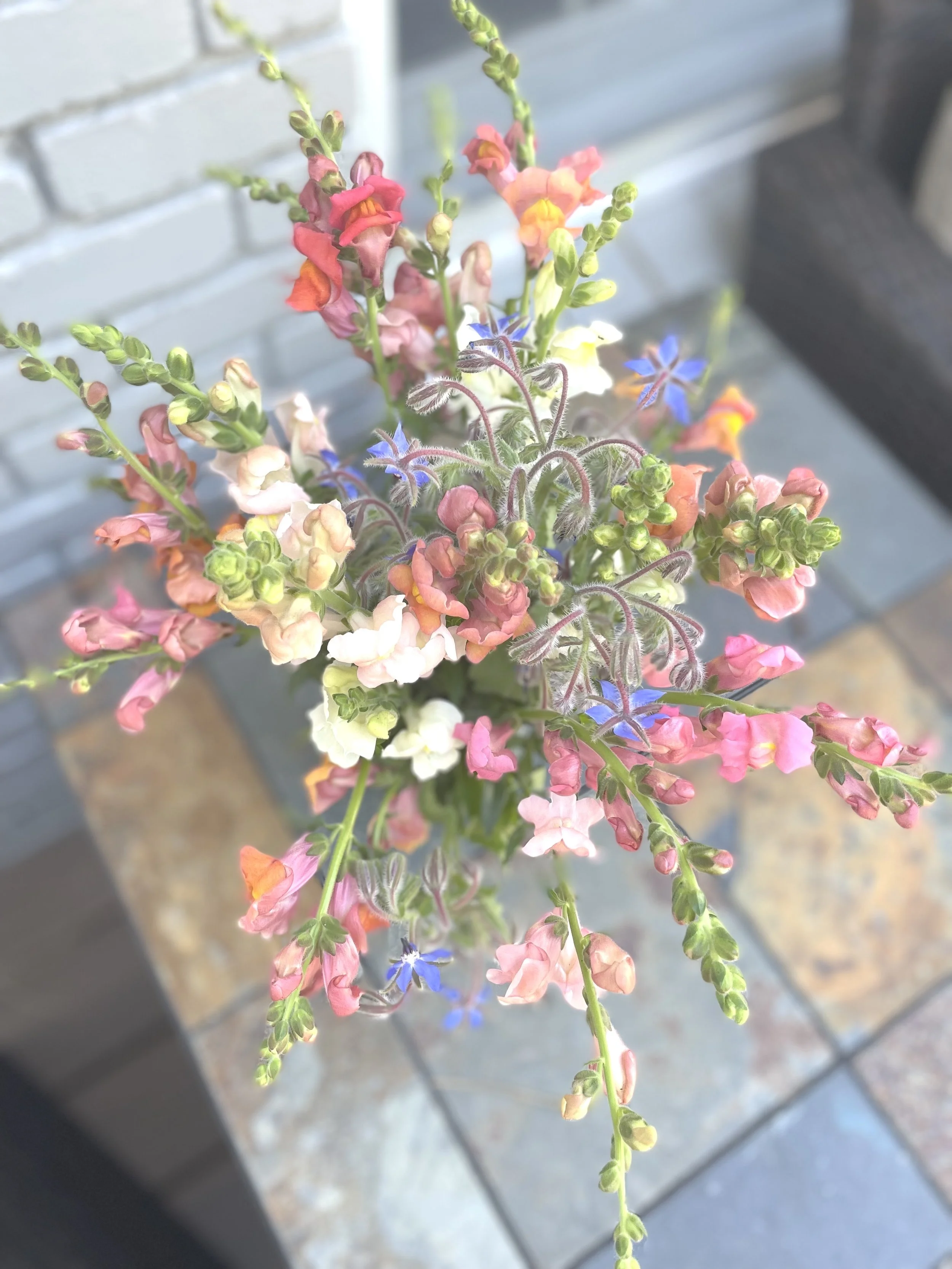 The Winding Way Farm