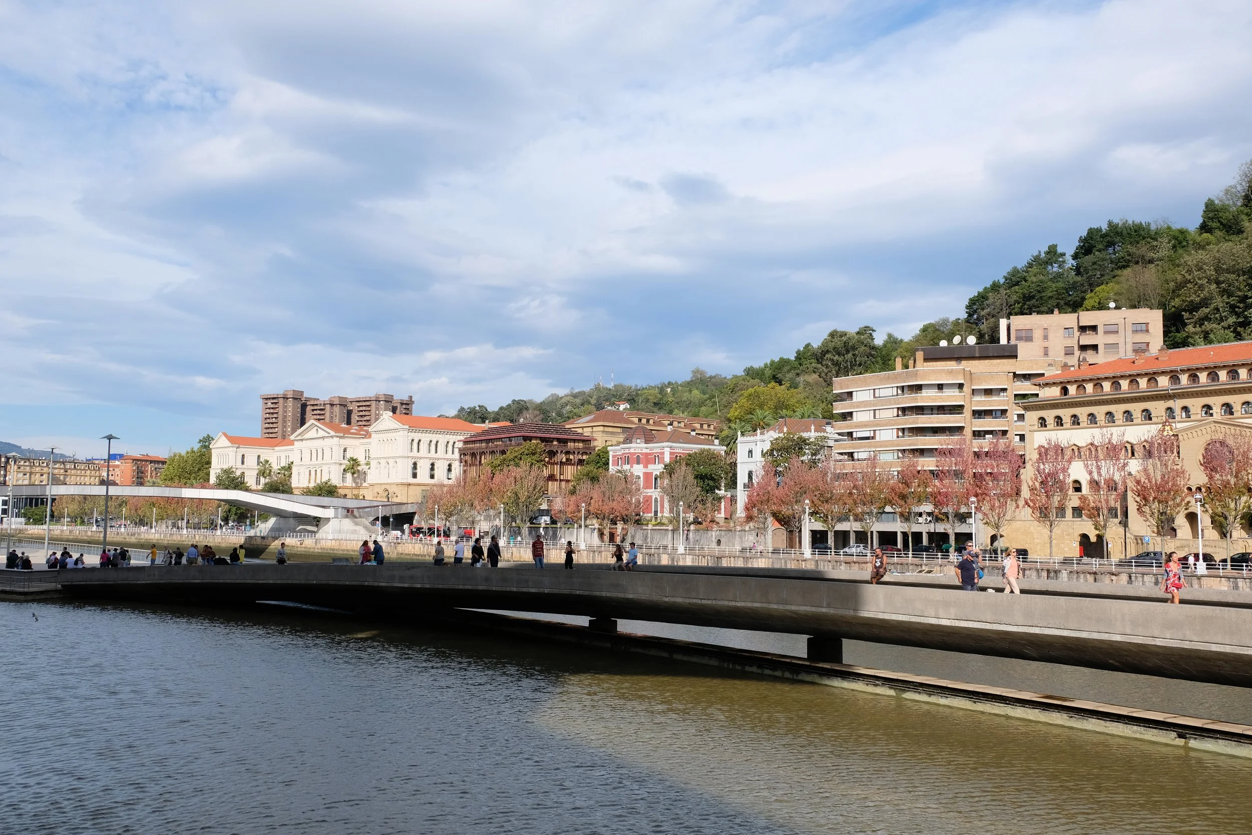 DSCF1141.JPG