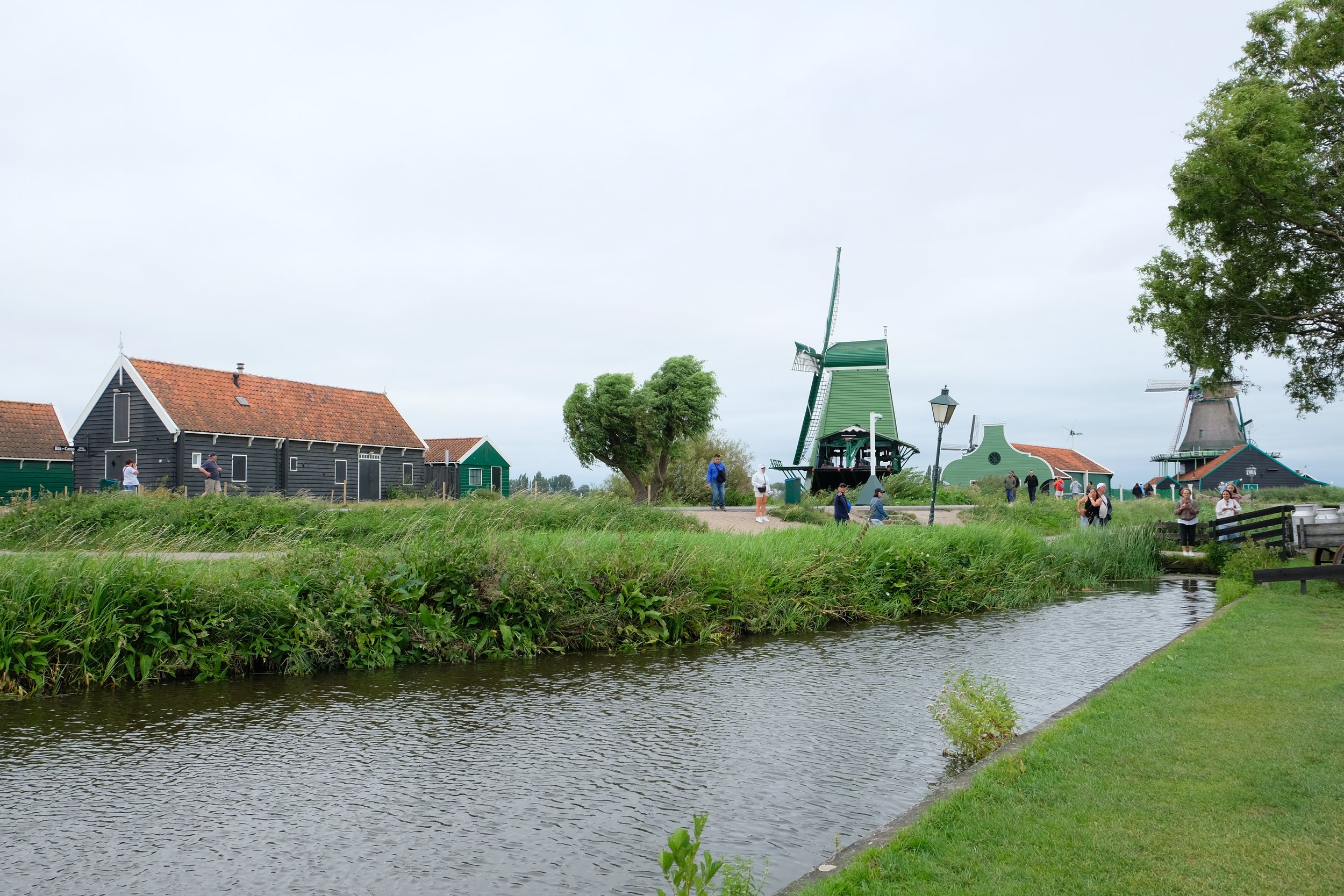 DSCF2843.JPG