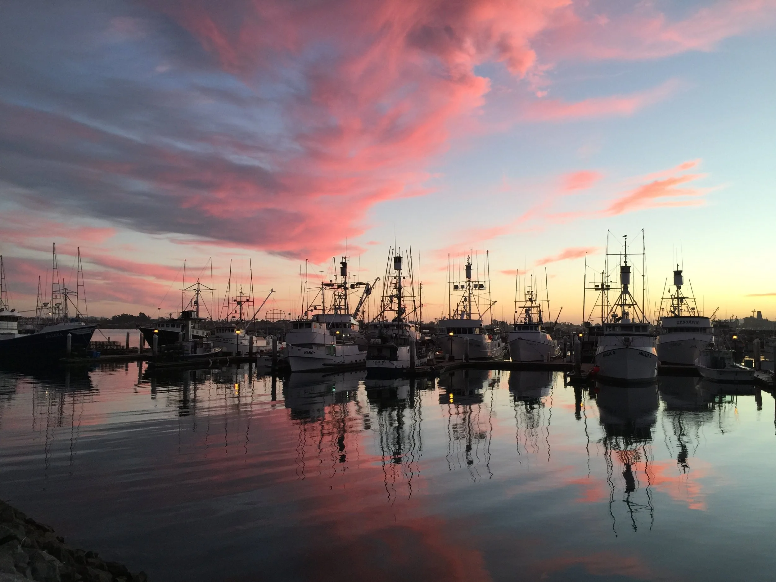 ‘Merica ‘25: San Diego, CA