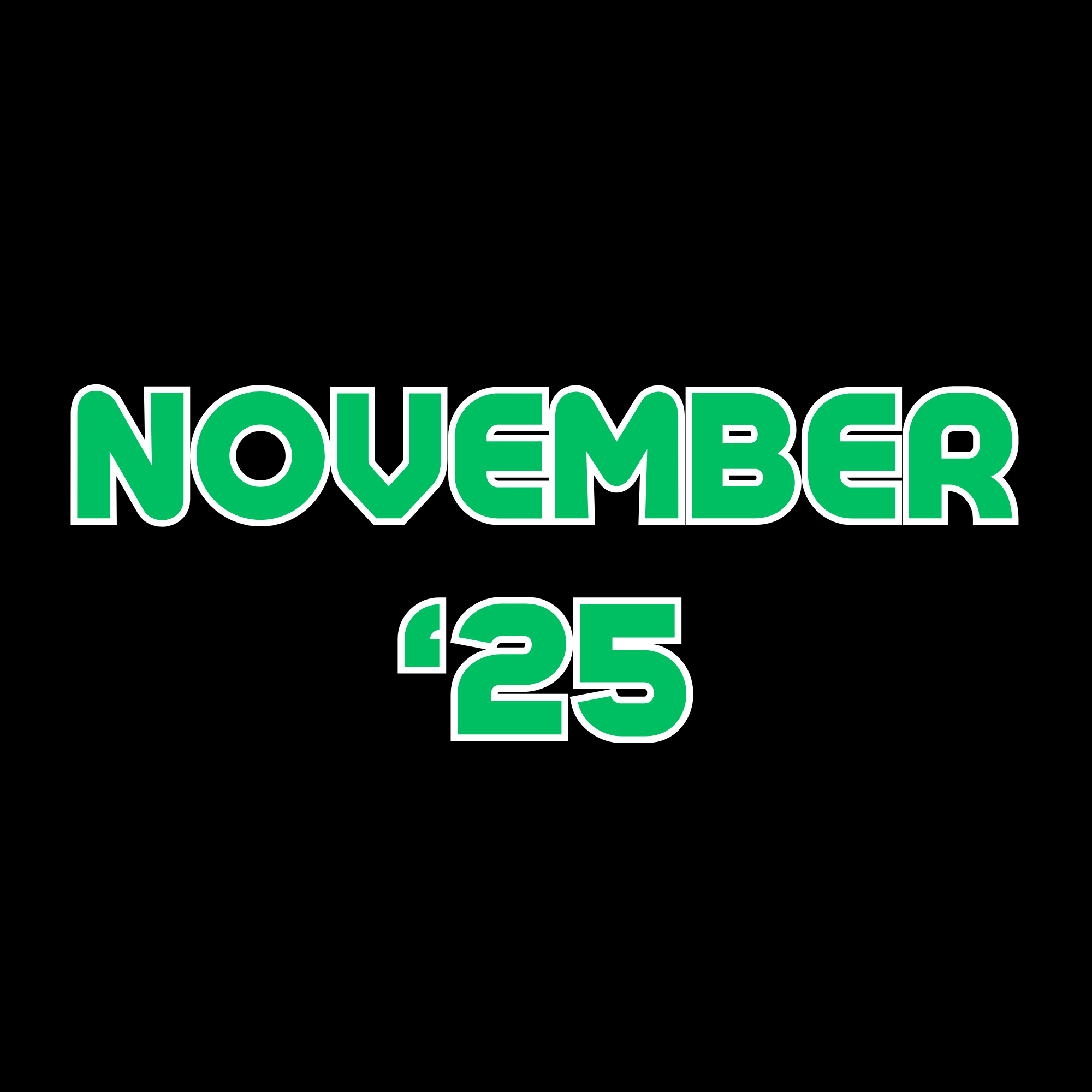 November 2025 P&L Report