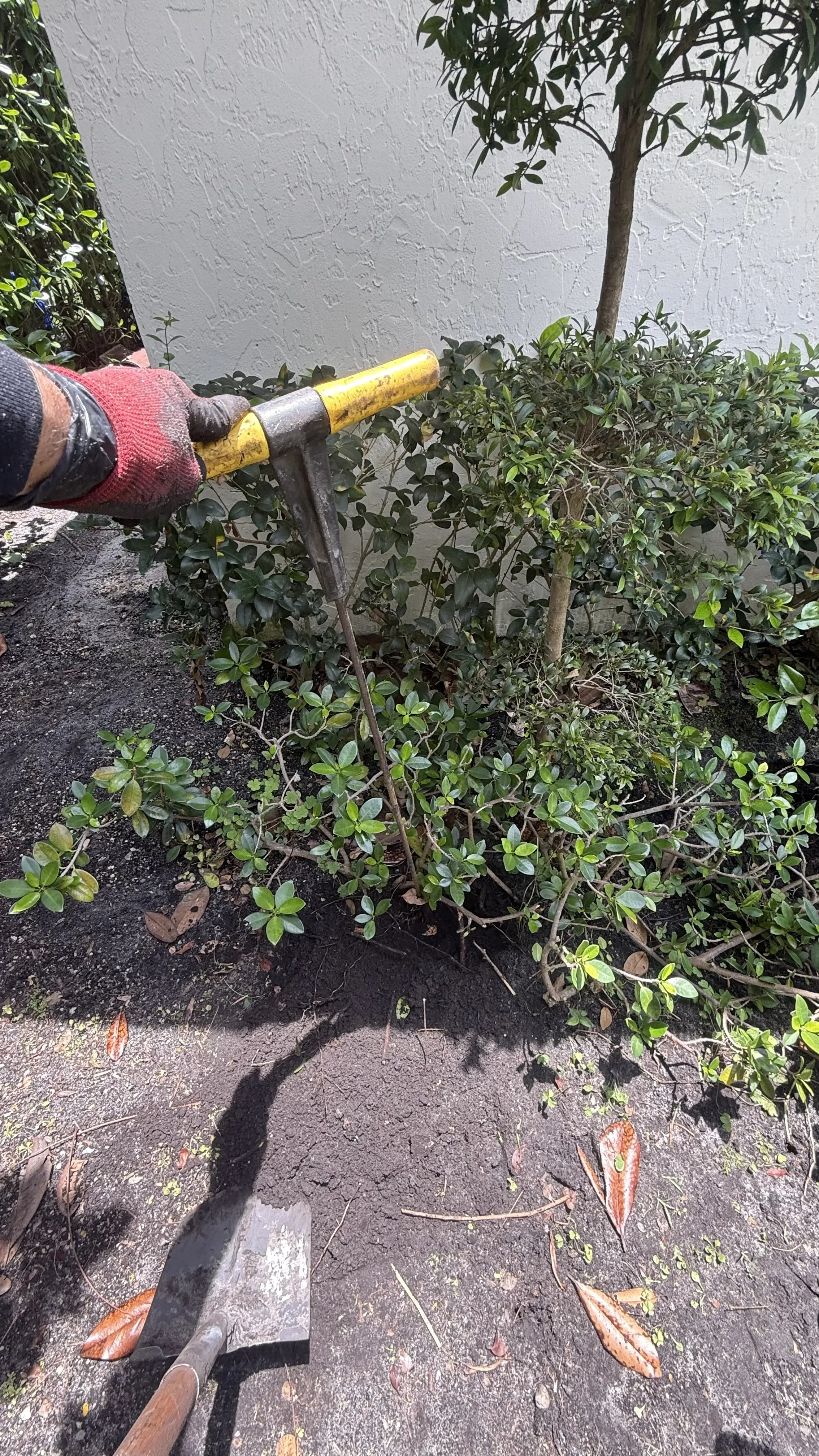 probing to find septic tank lid