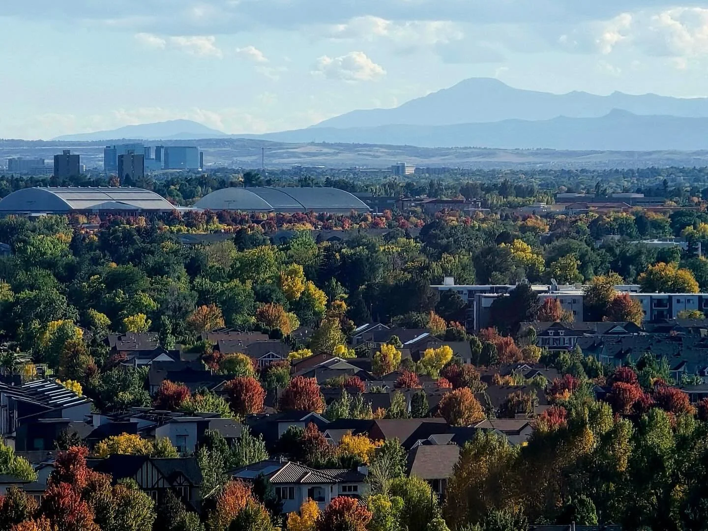 Who said you have to go the mountains to see the fall colors?

#fallfeels 🍂
