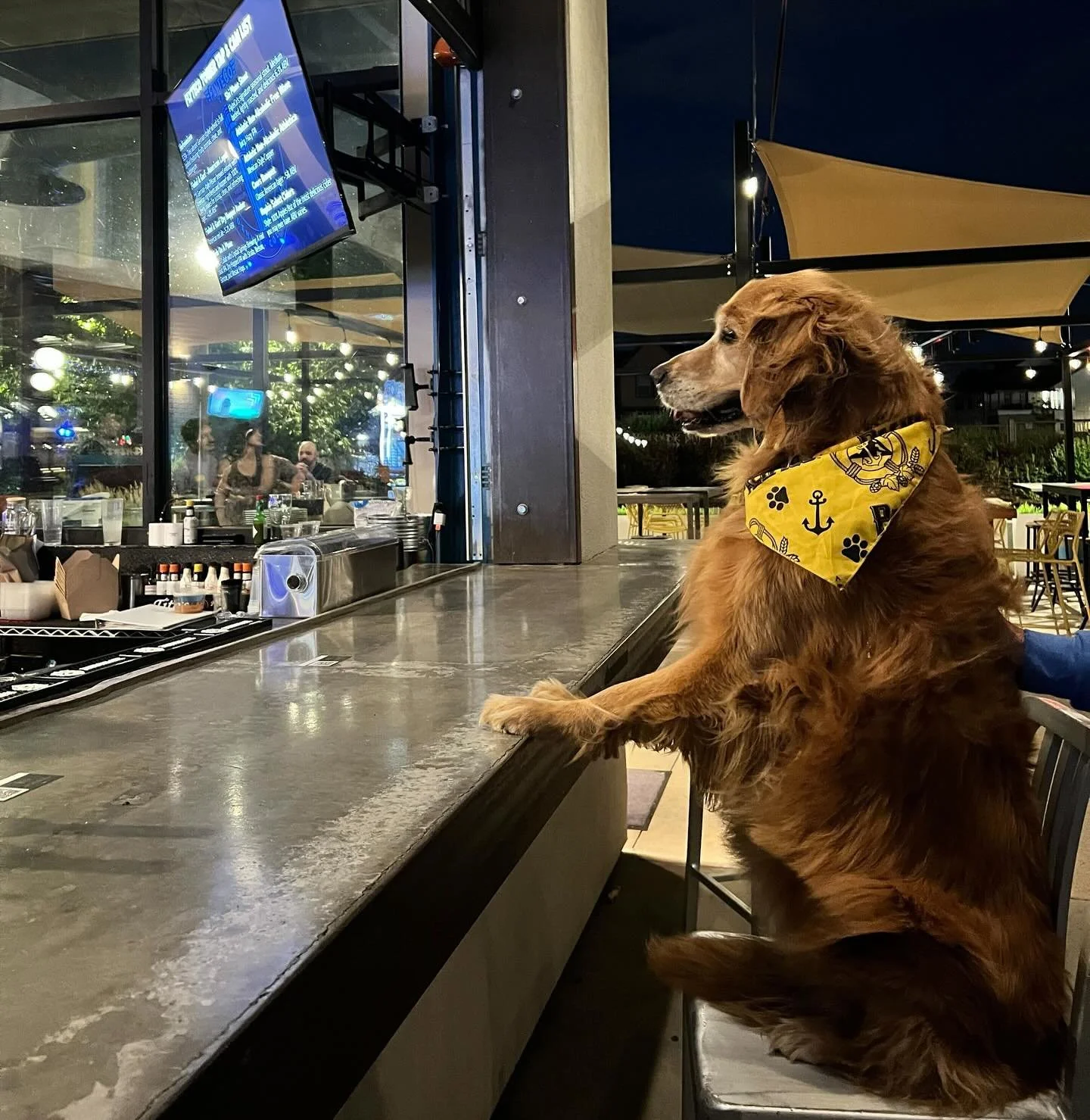 Yappy Hour is this Friday๐พ
Don’t miss the Dog Costume Contest: best dressed dog has the chance to win a gift basket prize๐
•Treats from @boulderdogfoodco 
•Discounted mobile grooming & nail trimming from @woofiesdenvereast 
&b