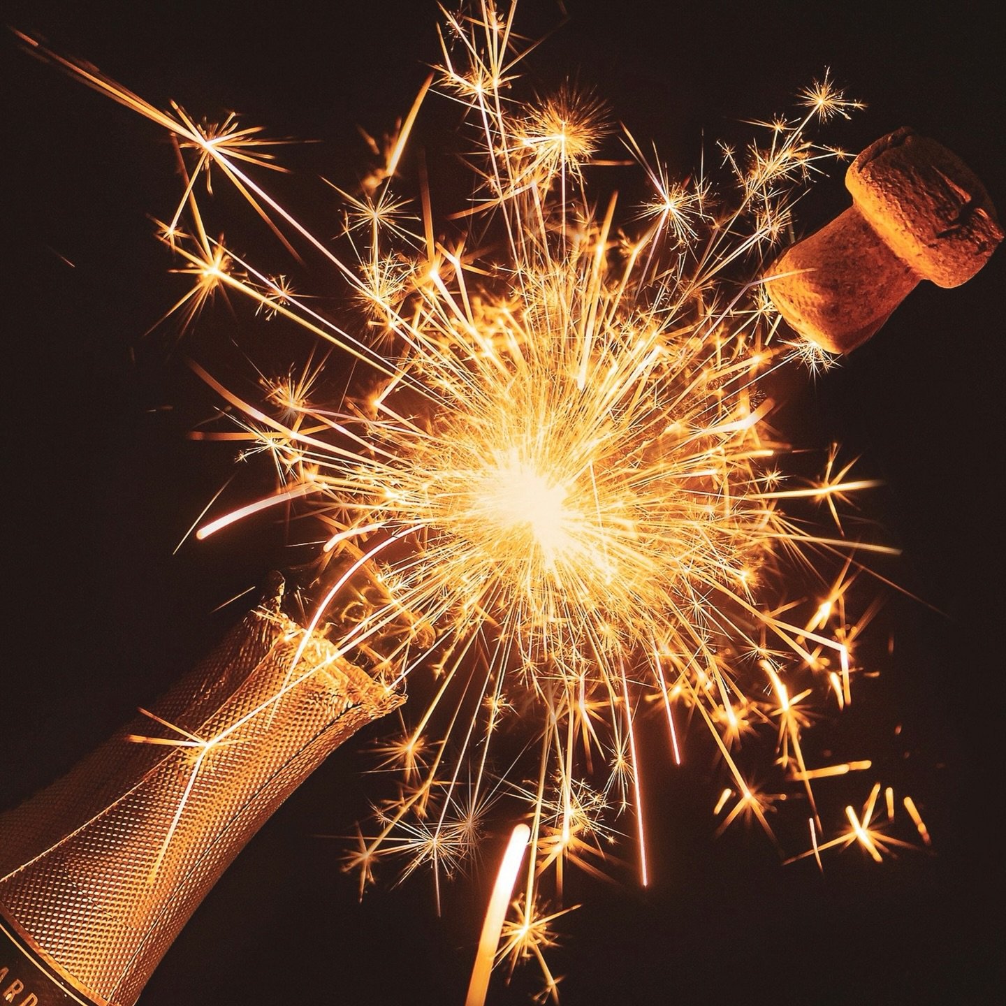 More tickets just added! This early-evening celebration is designed so the whole family can enjoy the excitement of NYE🎉

📆 Dec. 31, 2025
🎟️ FREE RSVP on website 
⏰ 6PM-7:30PM
Special Ball Drop @ 7PM with a complimentary toast for all ages 
📍Flyt