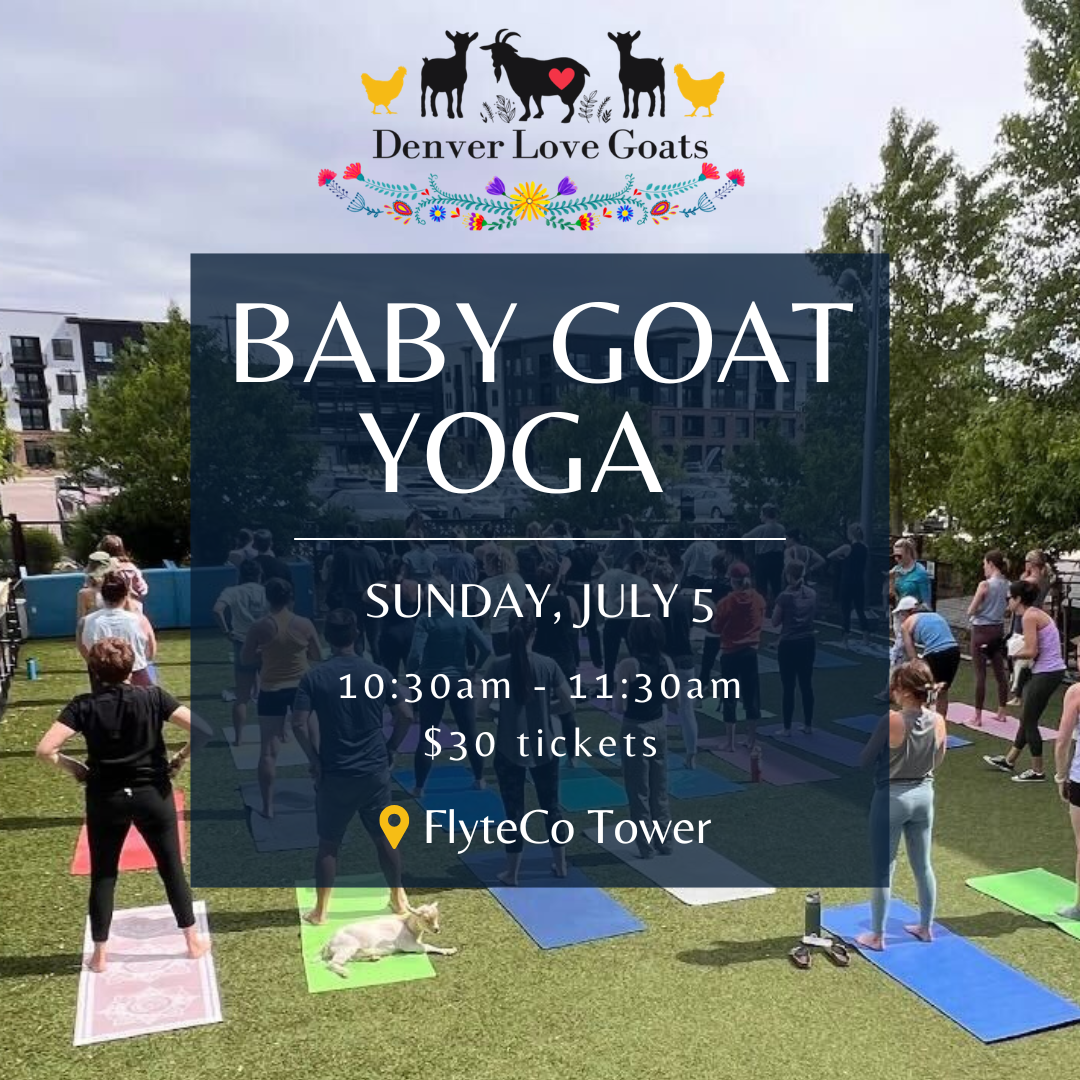 Baby Goat Yoga