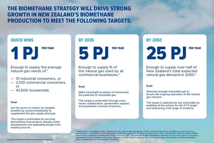 Biomethane strategy presented to government