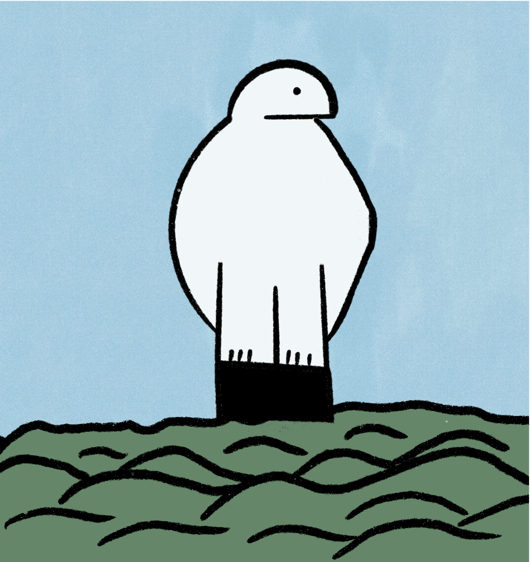 2D5A22A1-F89E-430F-9776-FE0153325FDC.gif