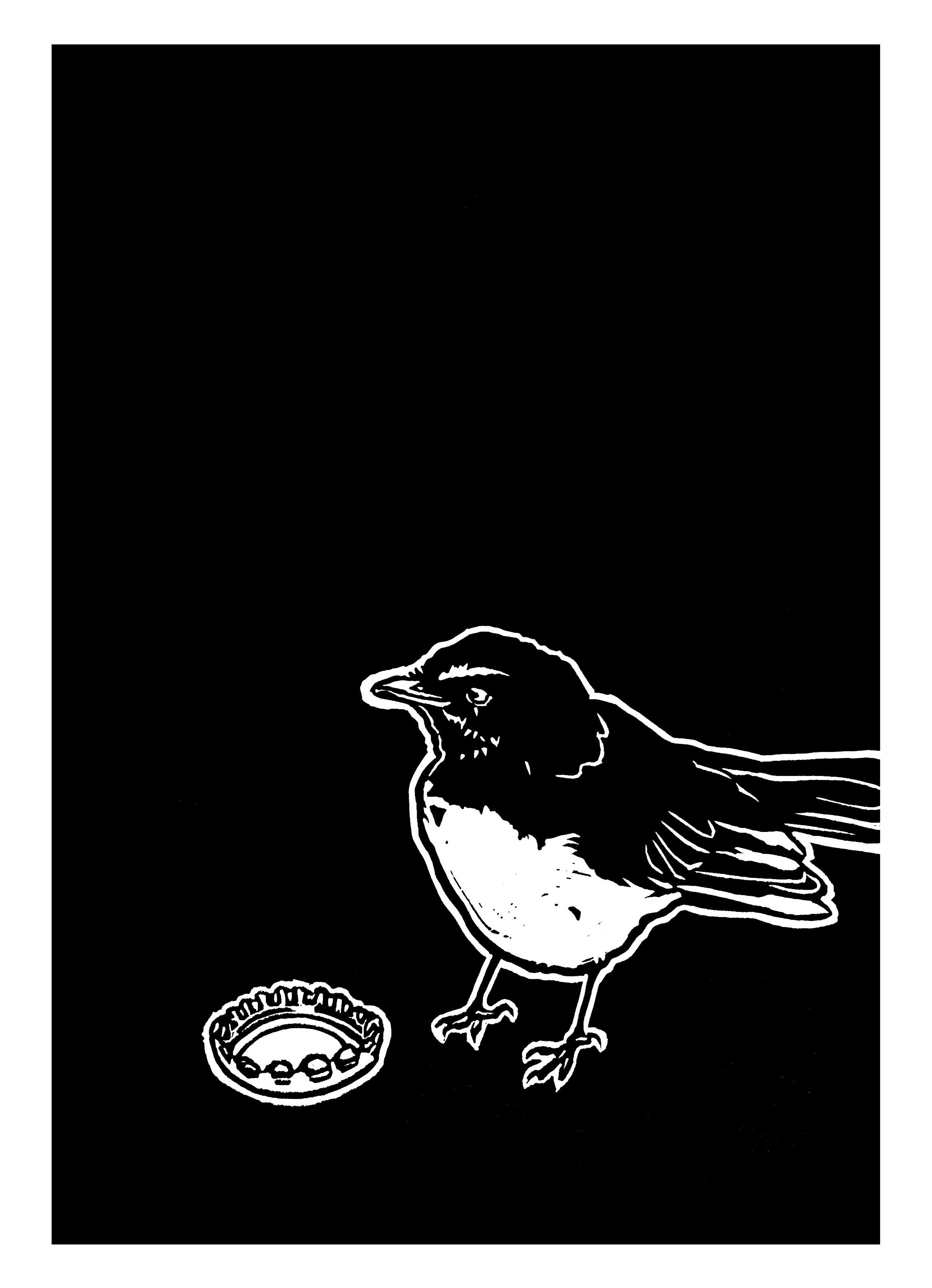 willy wagtail with border.jpg