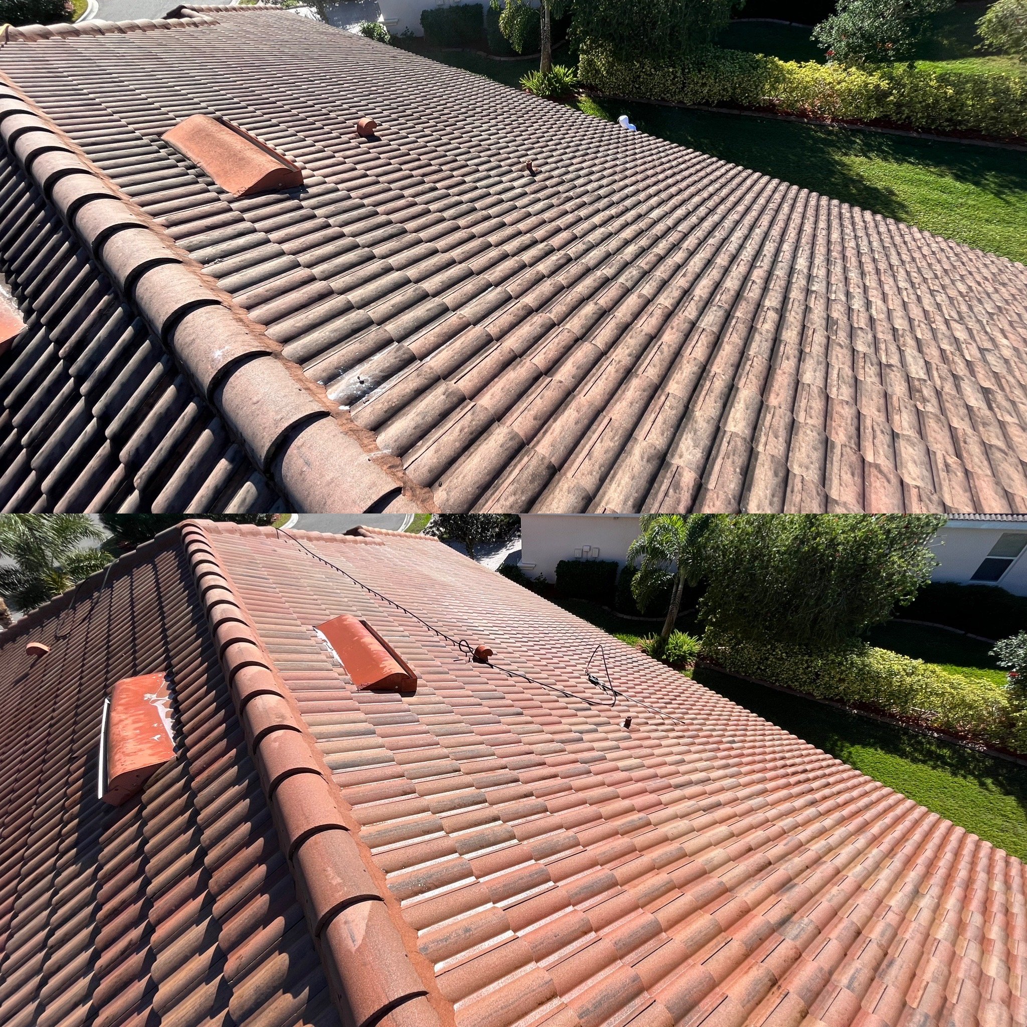 Roof Cleaning