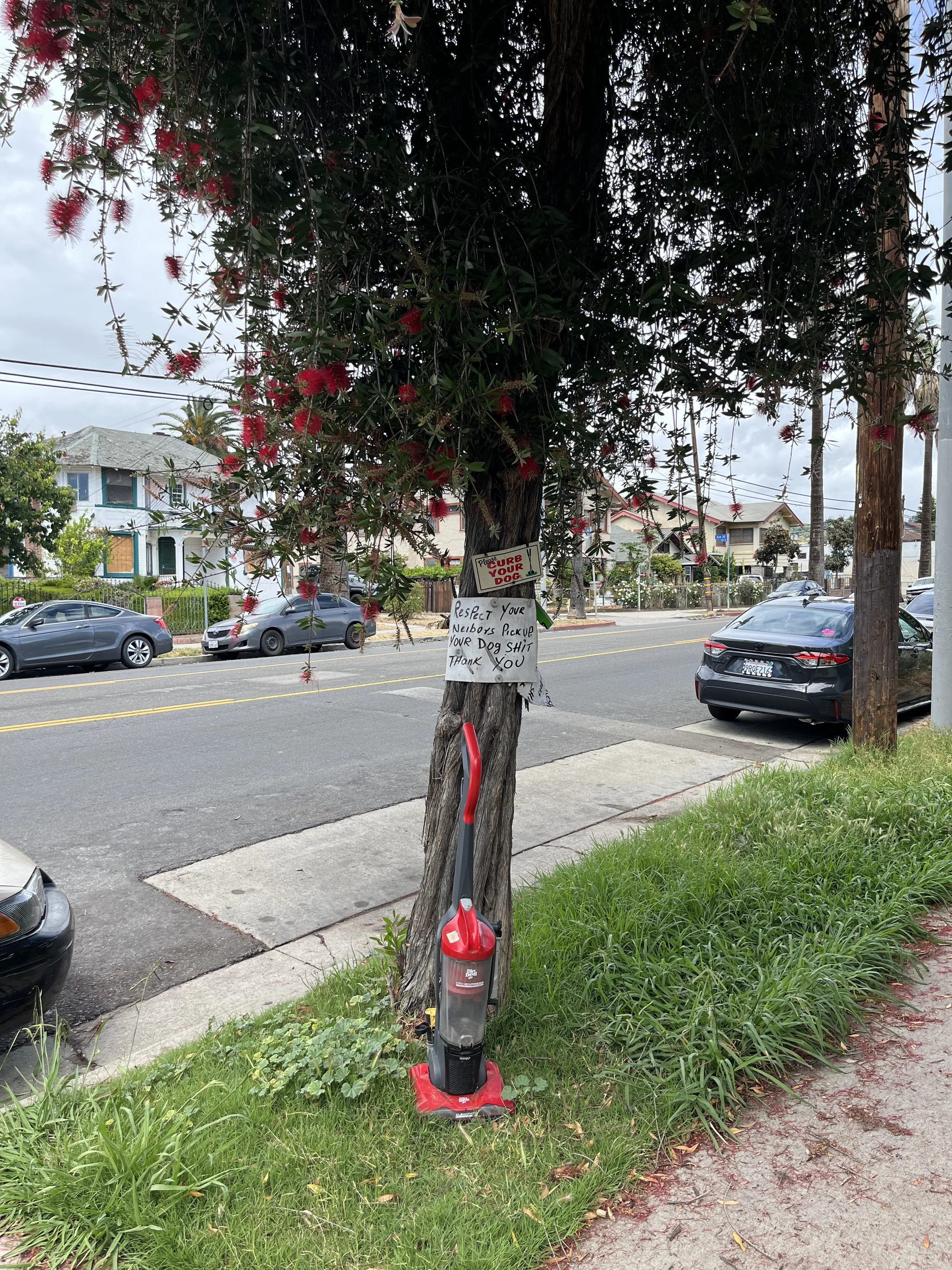 Lincoln Heights walk 4/12/26