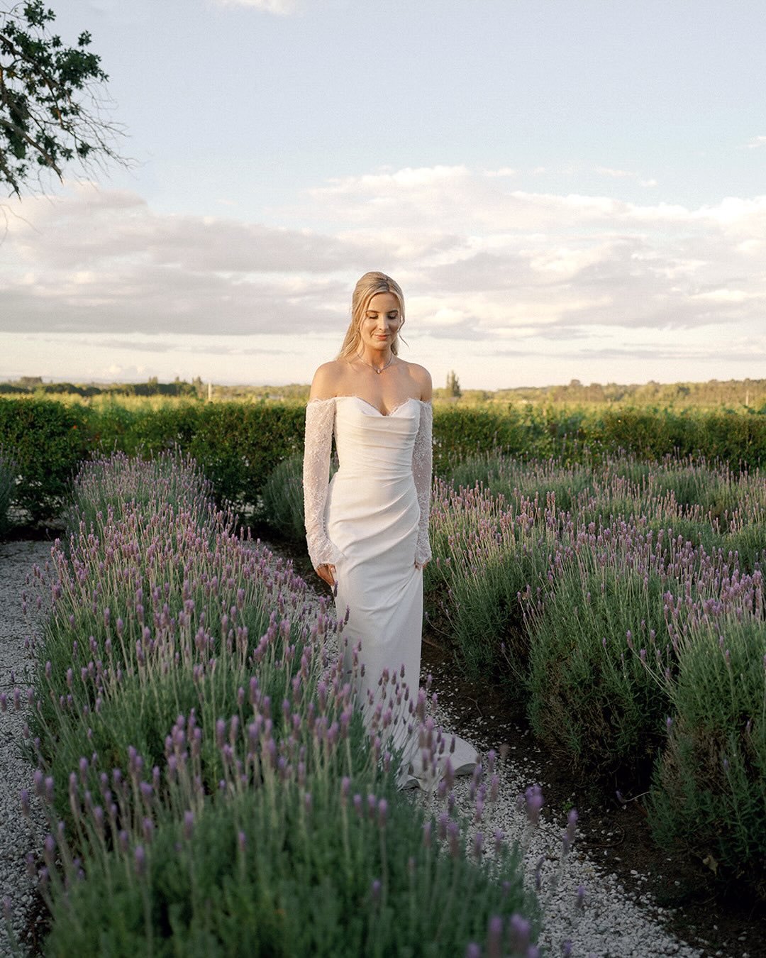 When the backdrop feels like a dream ✨

@te_mata_house 
@onefinedayweddings