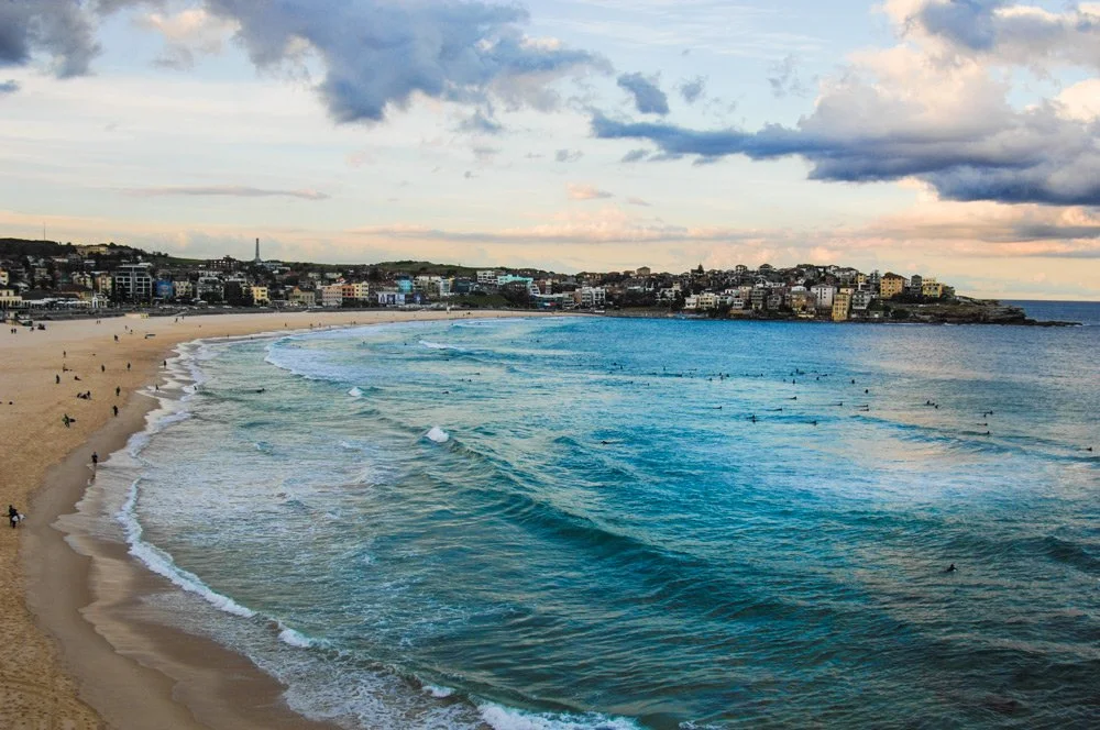 Bondi-3.jpg