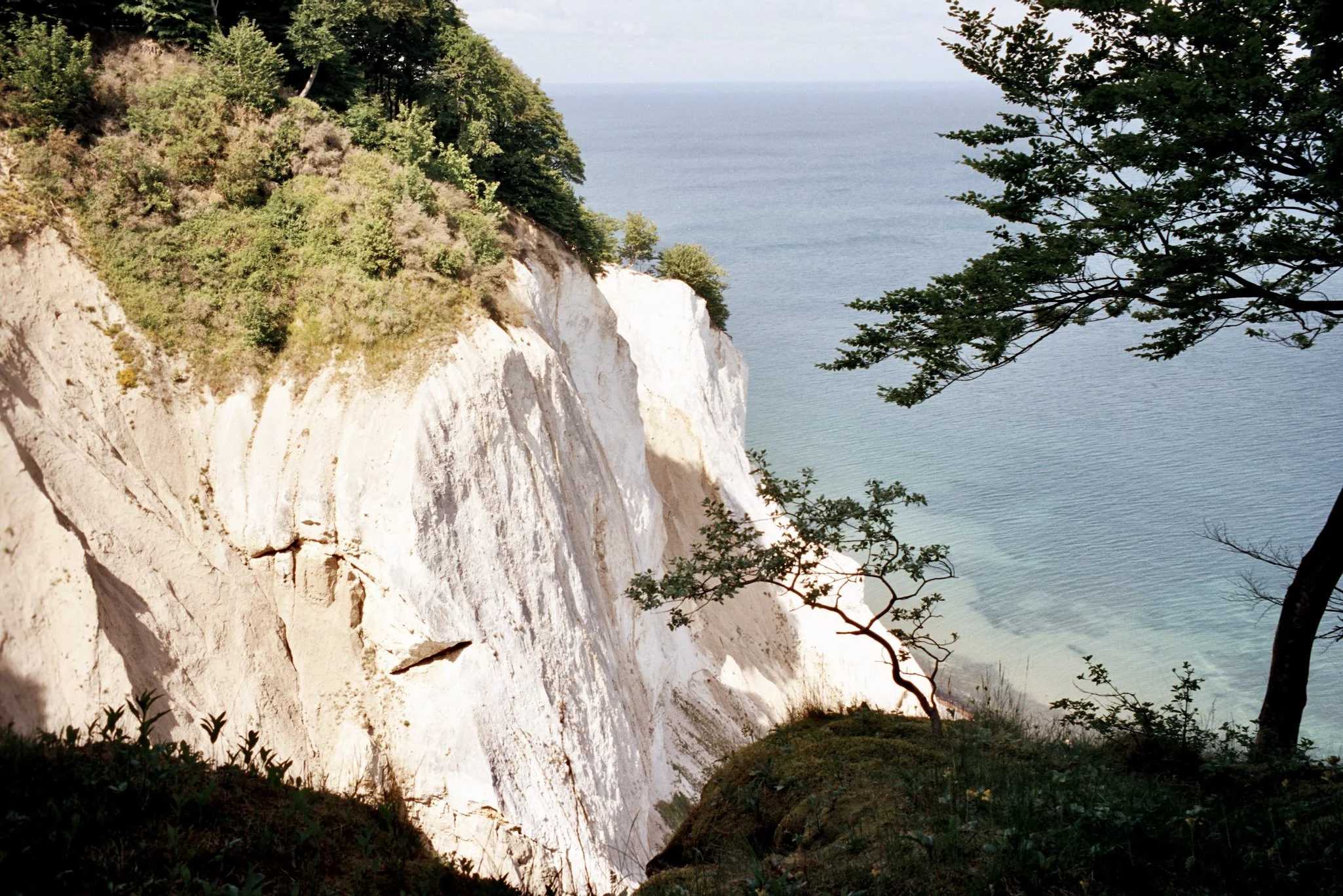 The shore of Denmark