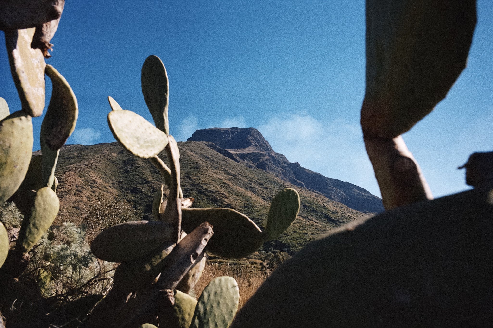 The view to the top of Stromboli