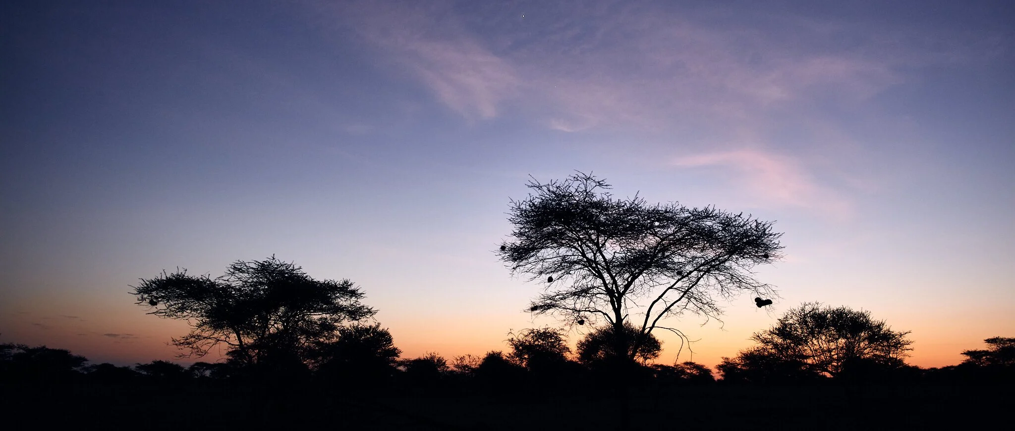 Twilight in Maasai land, Africa
