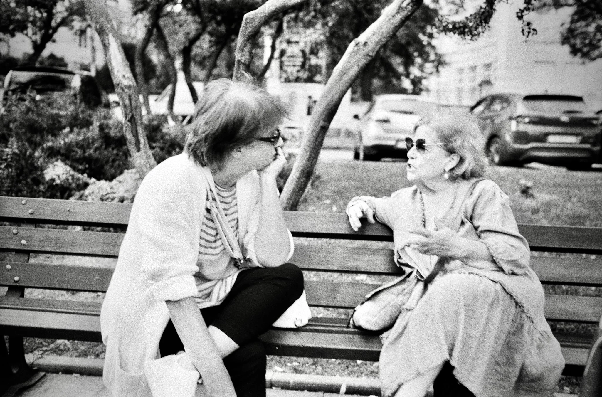 City Garden Talk, Sofia