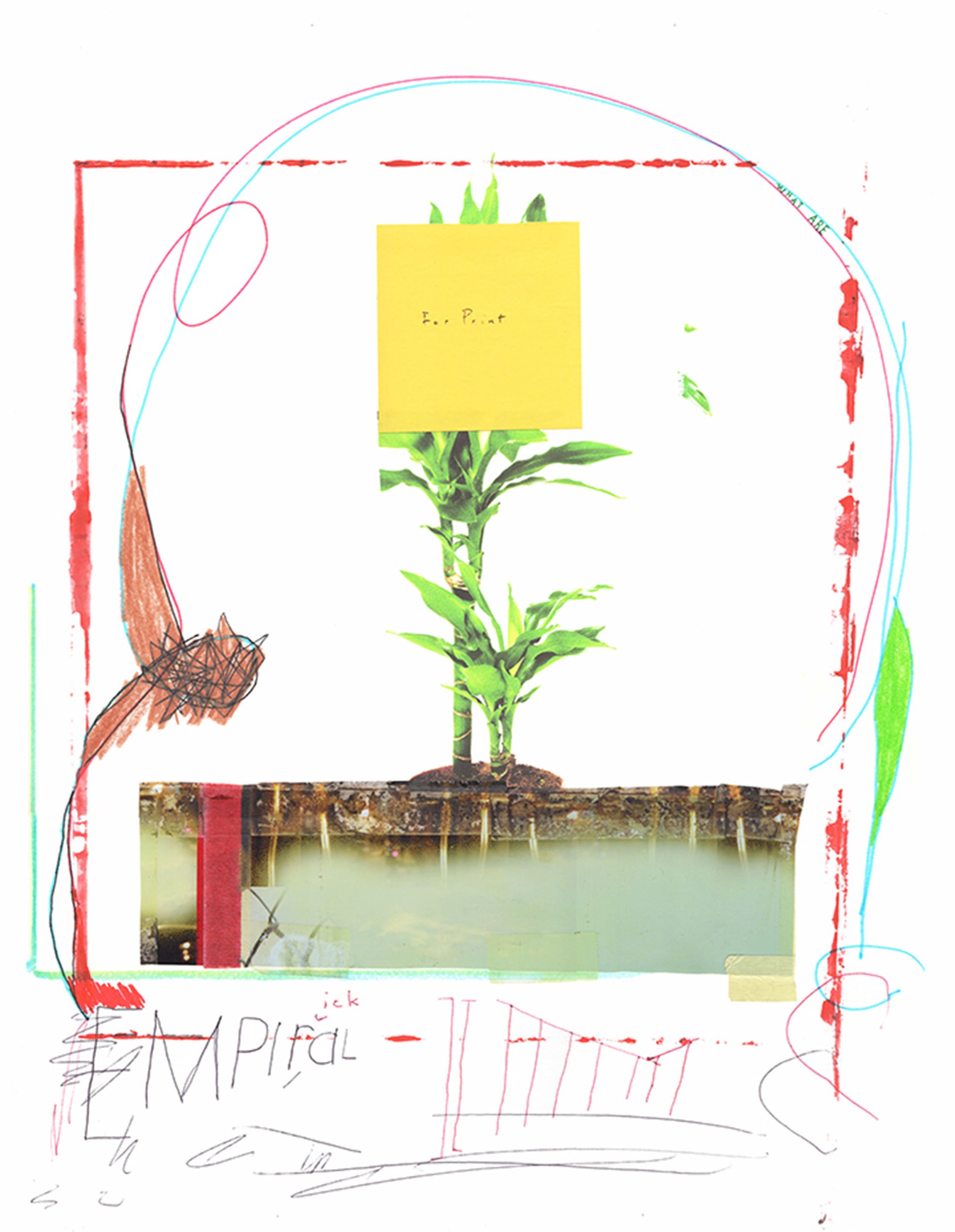 nature in print (yr touch)