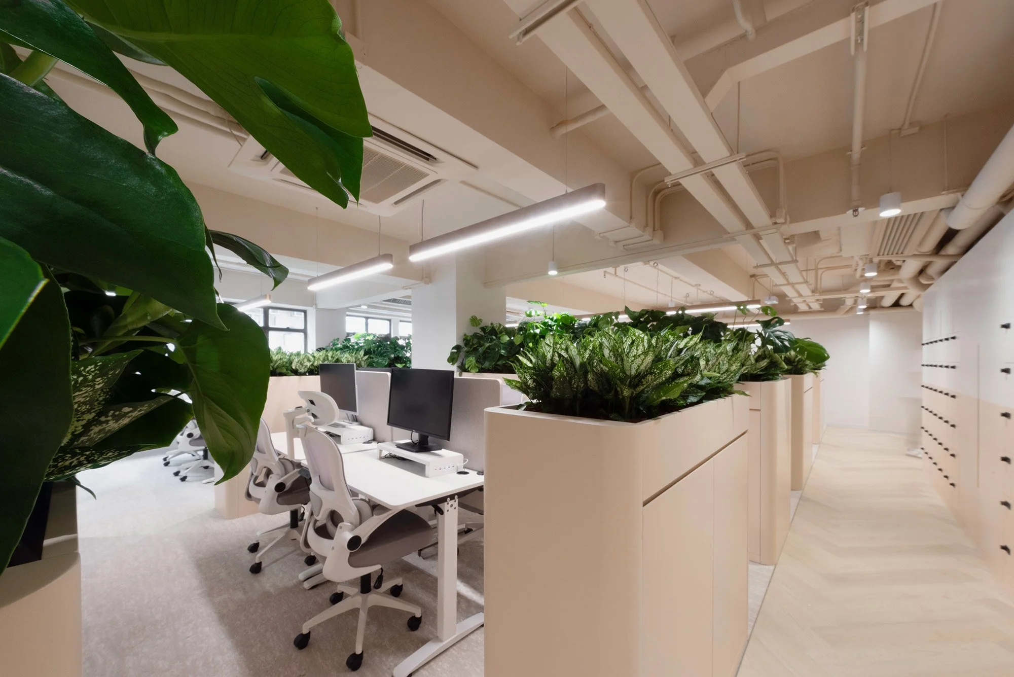 11_Bean Buro_Office Workplace_Palatino Hospitality_Photos.jpg