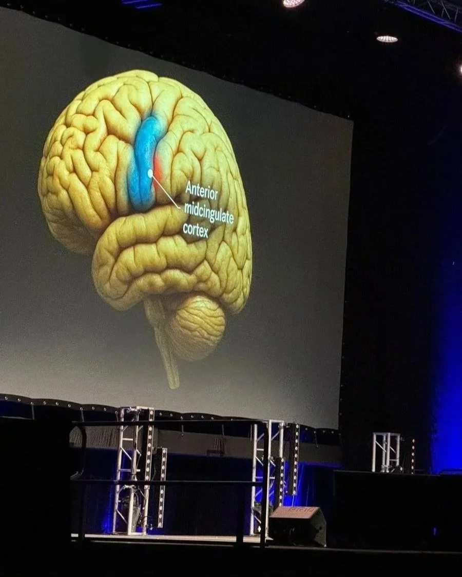 Steven Bartlett’s Lessons on Growth and Leadership – image 1 from Episode 47 newsletter