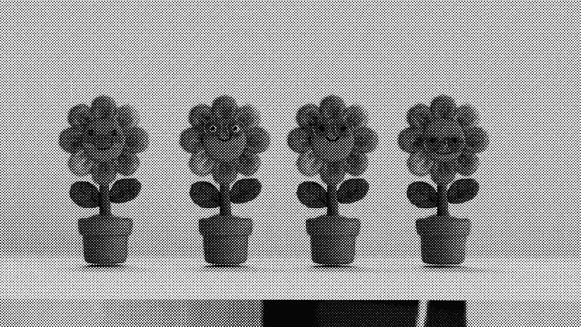 0306_test model_V003-moshed-07-07-13-14-45-931.png