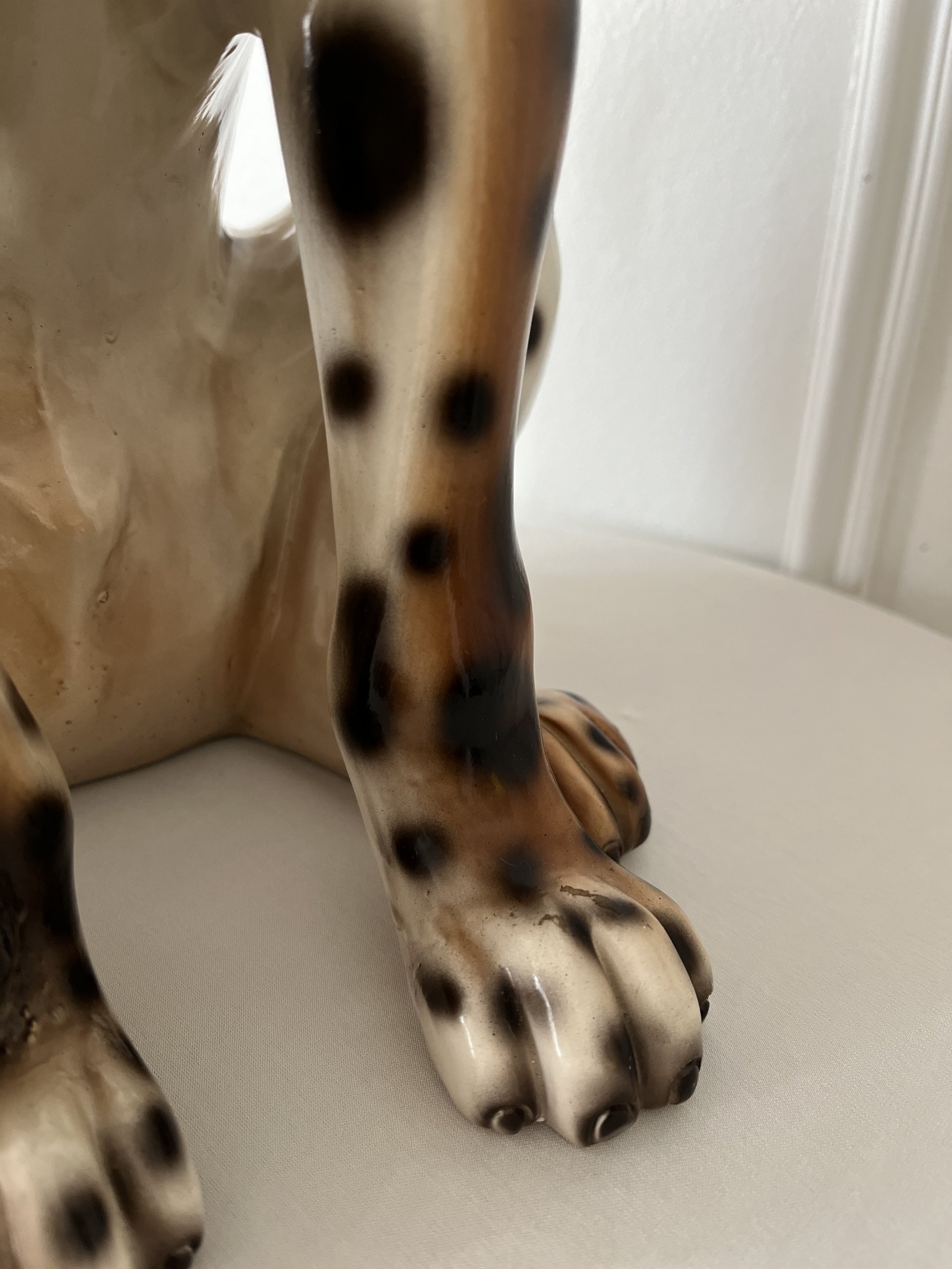IMG_2147.jpeg